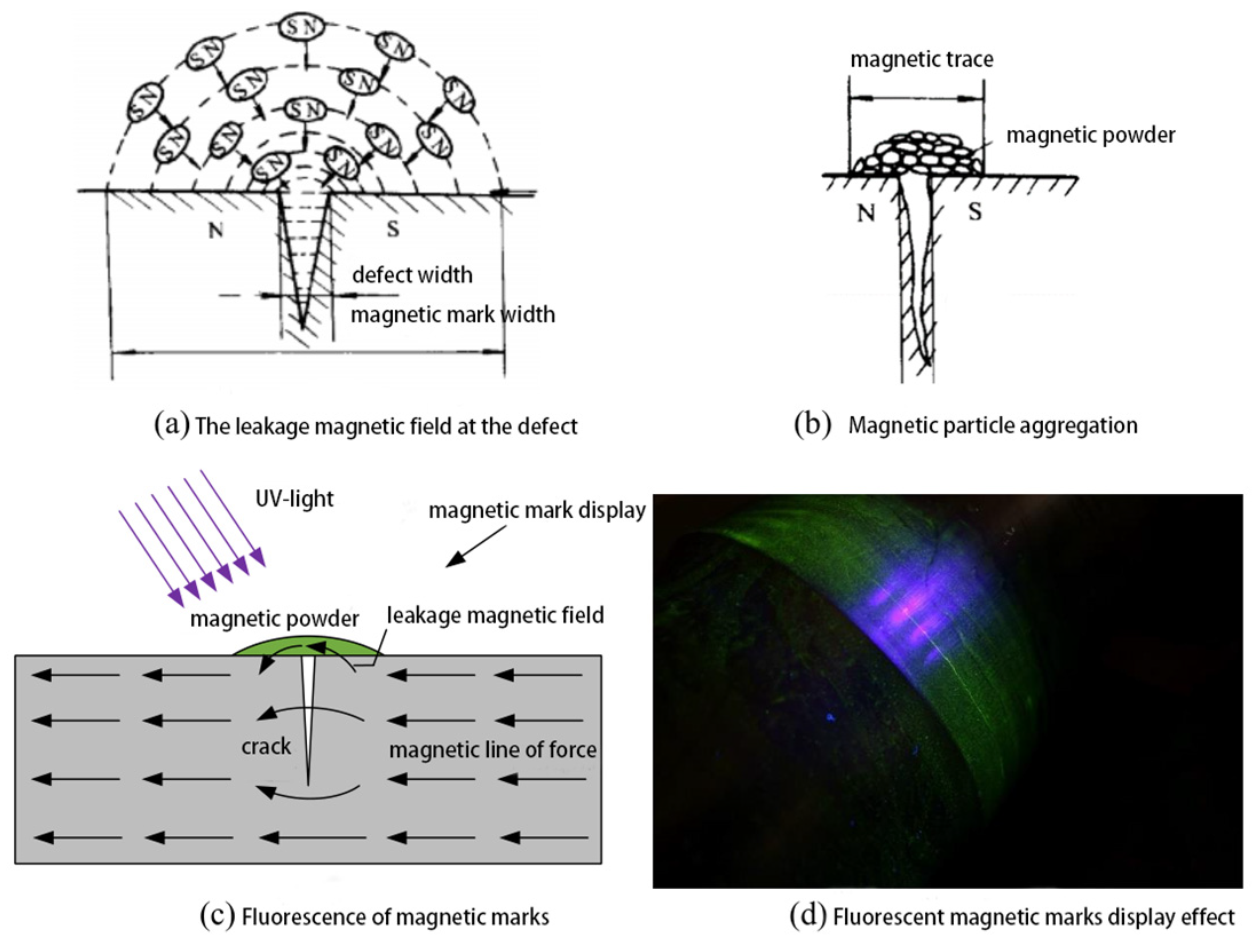 Applsci 14 01747 g003