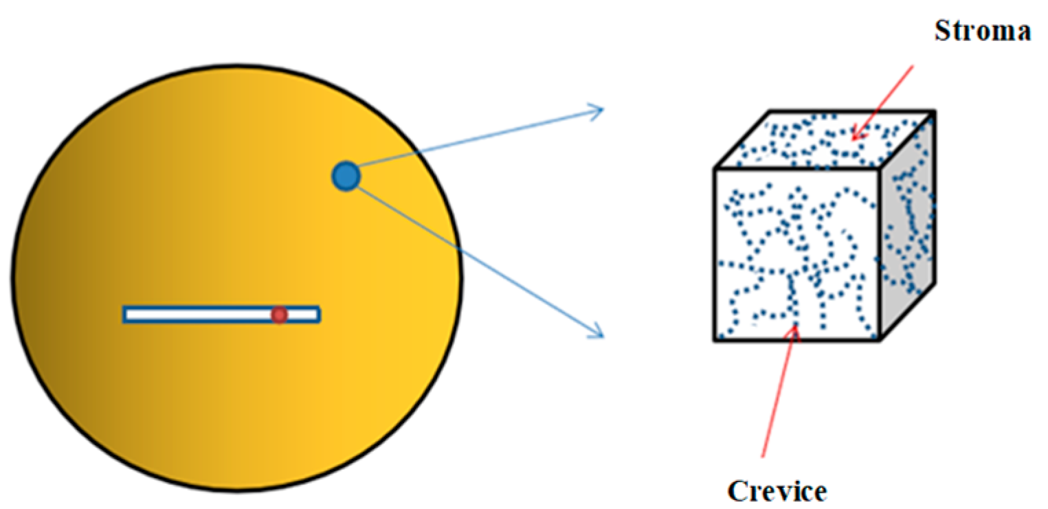 Applsci 14 01763 g001