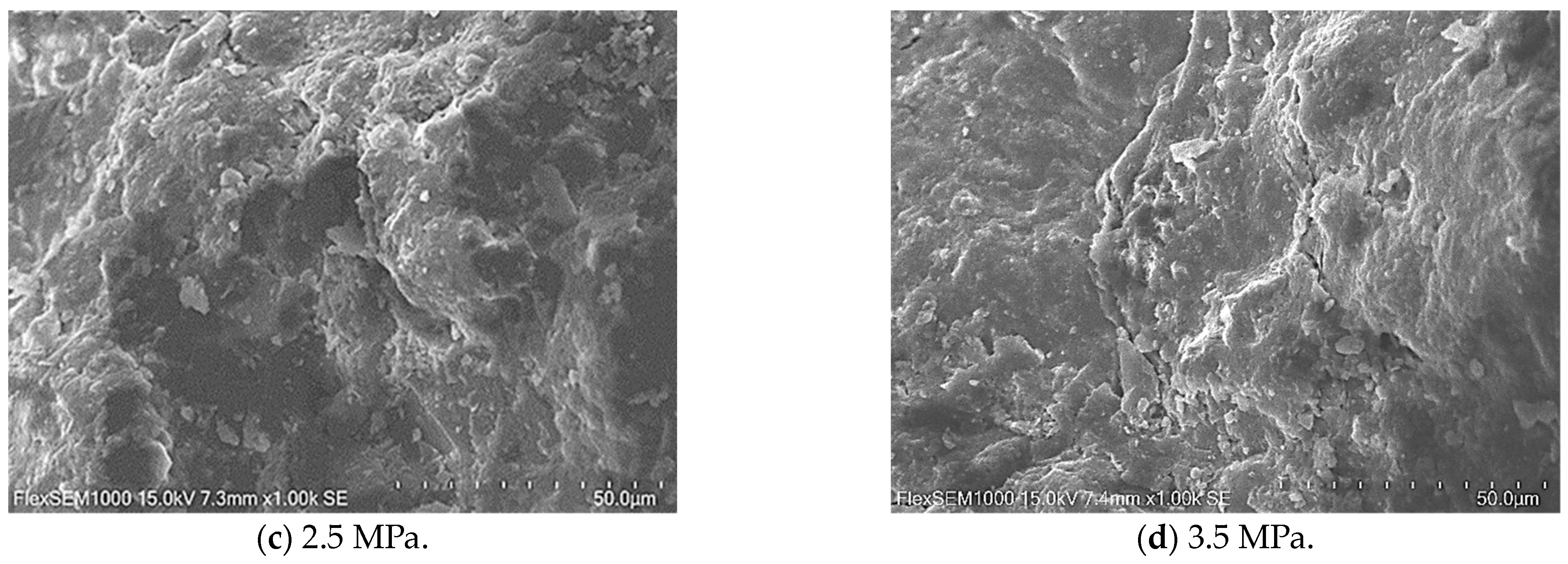 Applsci 14 01783 g005b