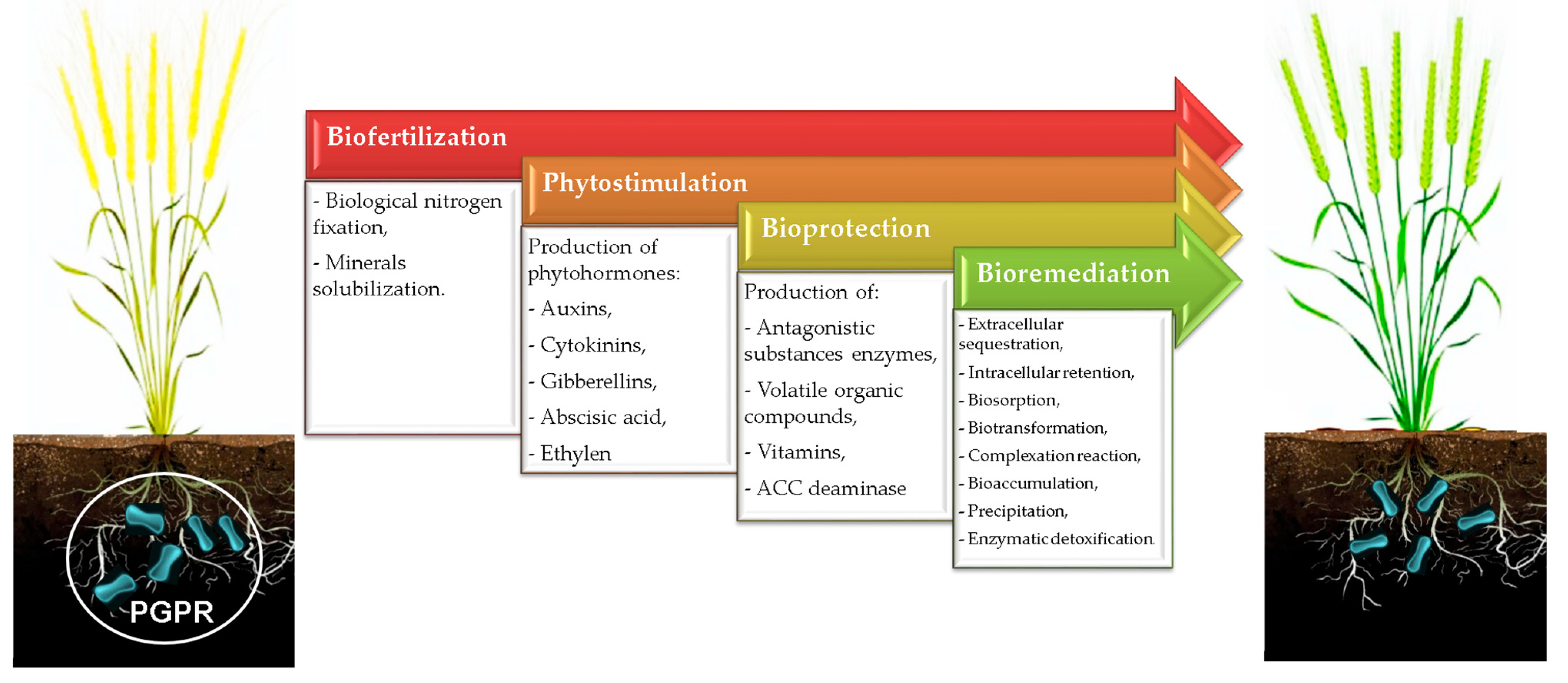 Applsci 14 01798 g001
