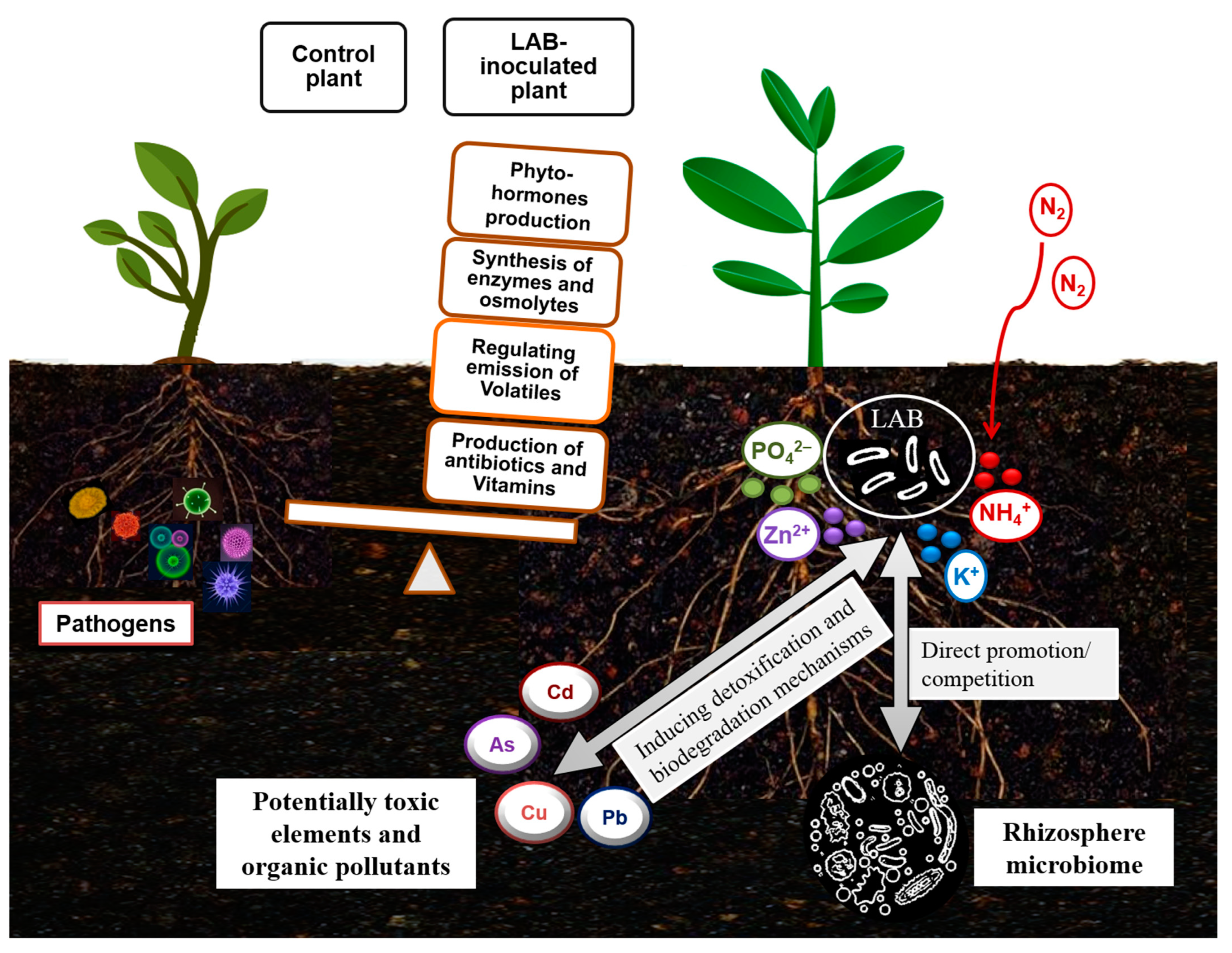 Applsci 14 01798 g002