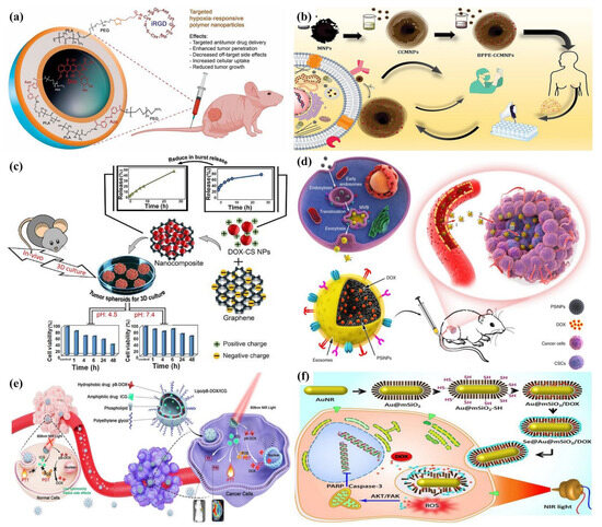 Applsci 14 01809 g003