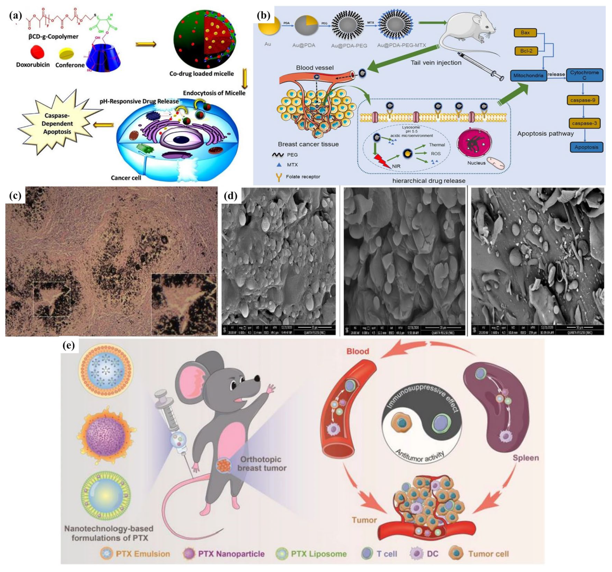 Applsci 14 01809 g005 Applsci 14 01809 g005