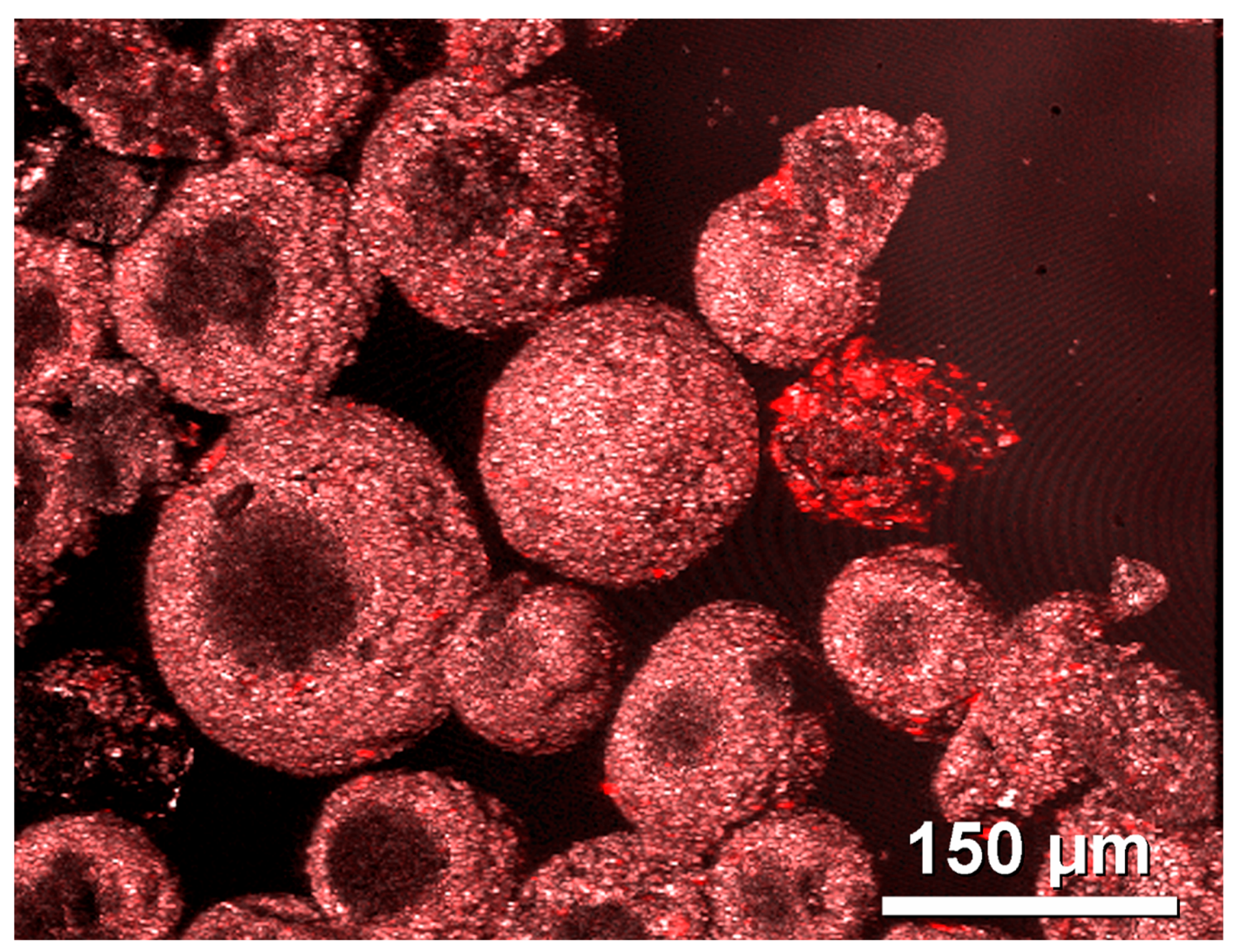 Applsci 14 01862 g006 Applsci 14 01862 g006