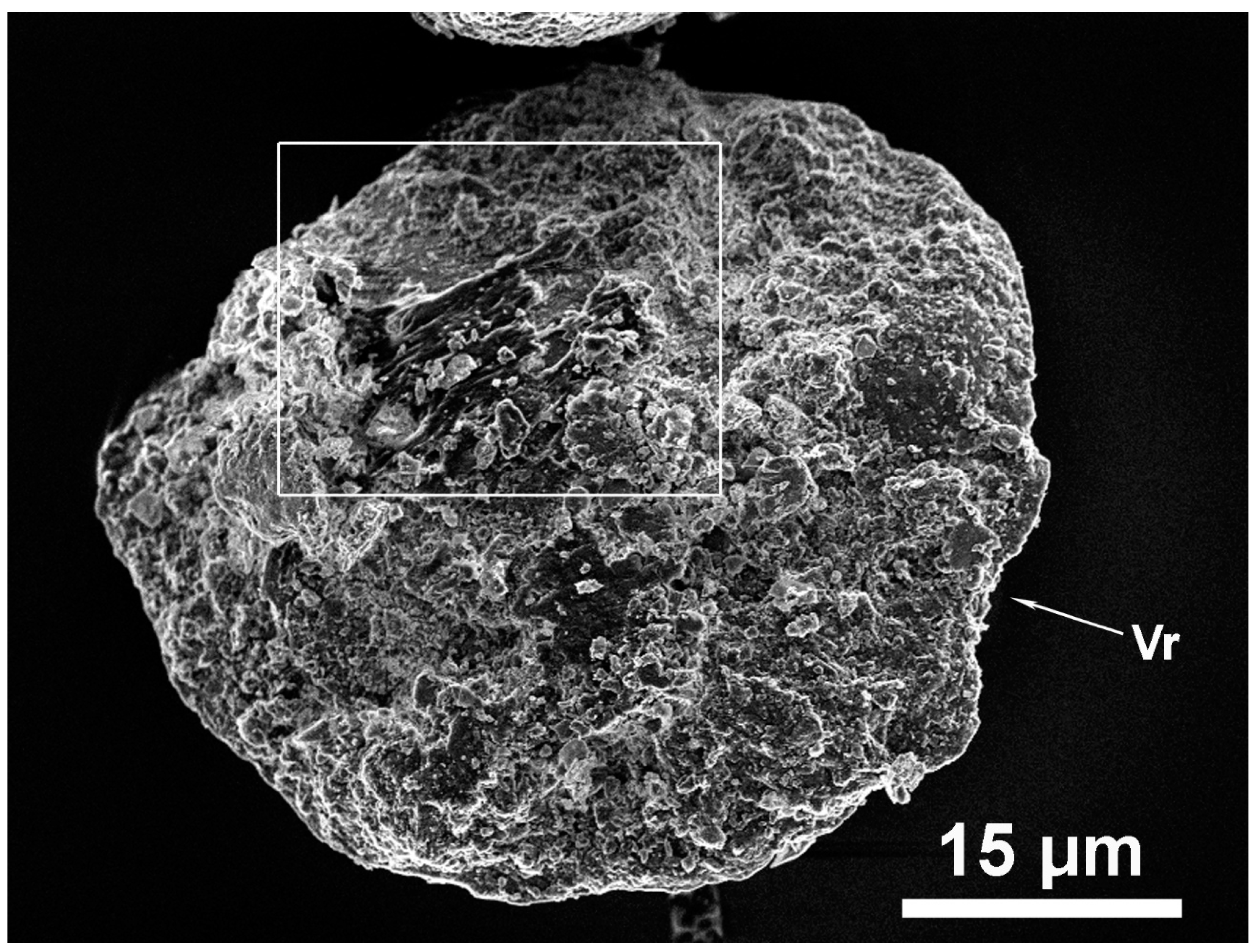 Applsci 14 01862 g007 Applsci 14 01862 g007