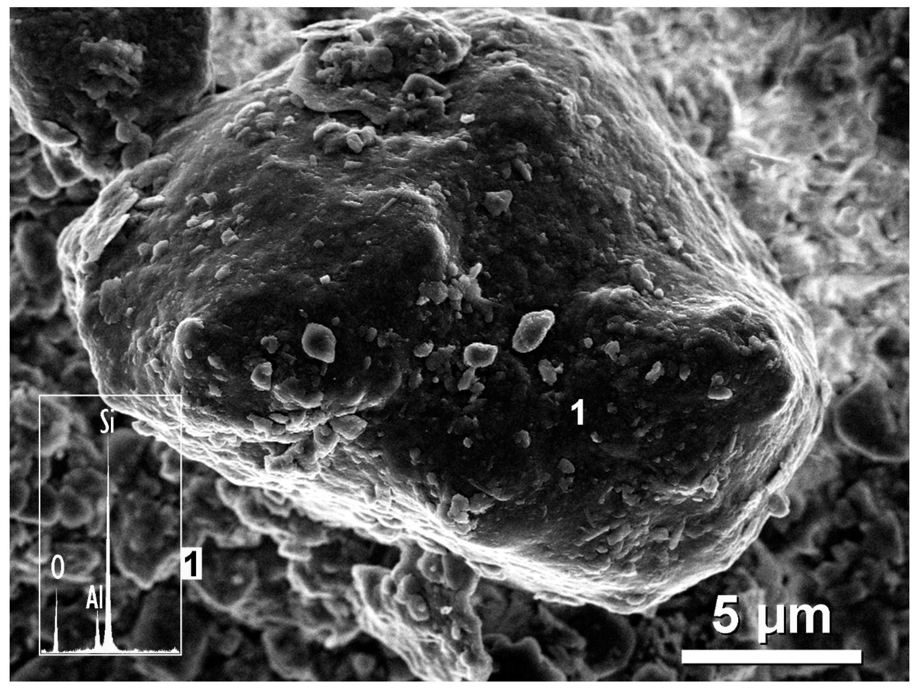 Applsci 14 01862 g009 Applsci 14 01862 g009