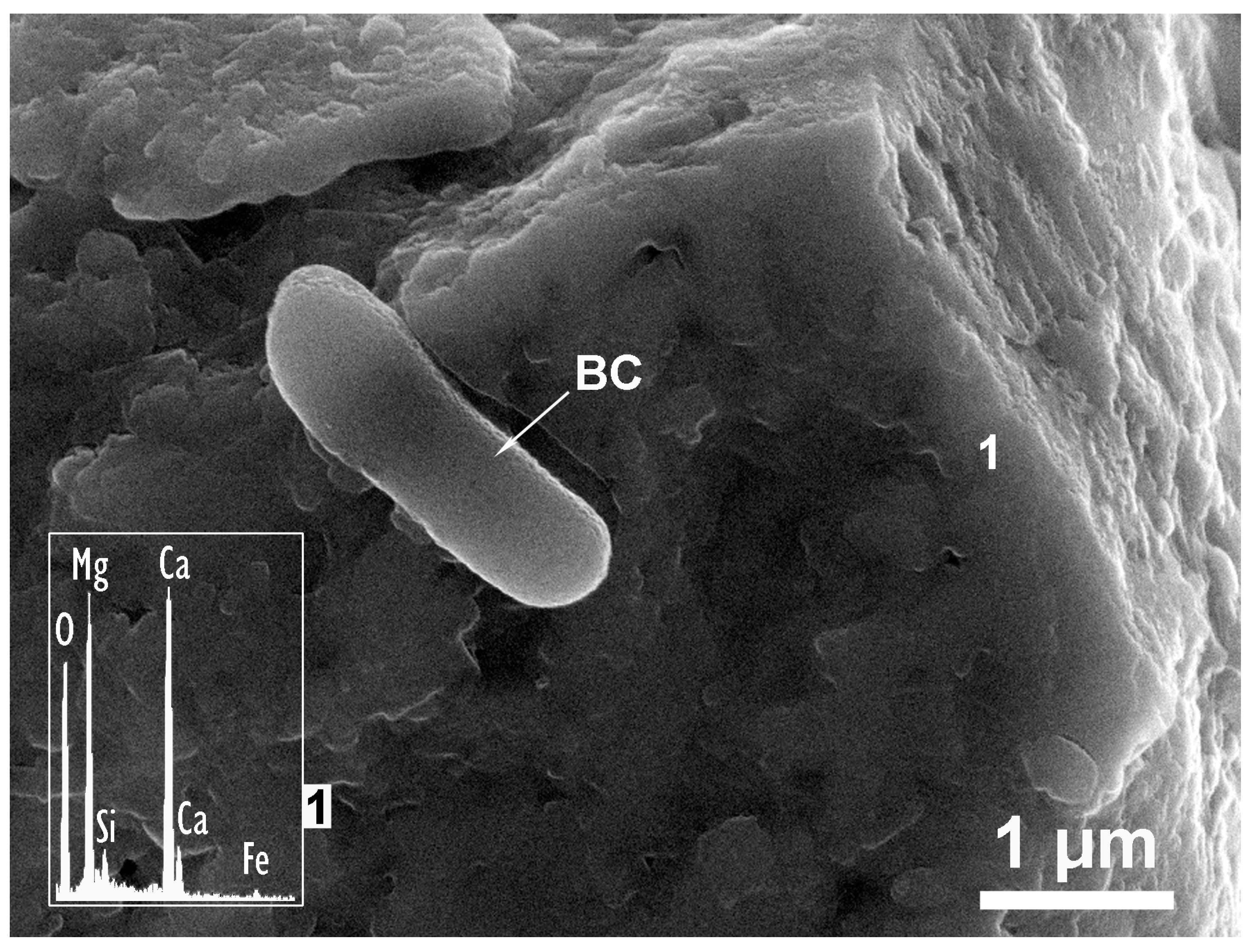 Applsci 14 01862 g010 Applsci 14 01862 g010