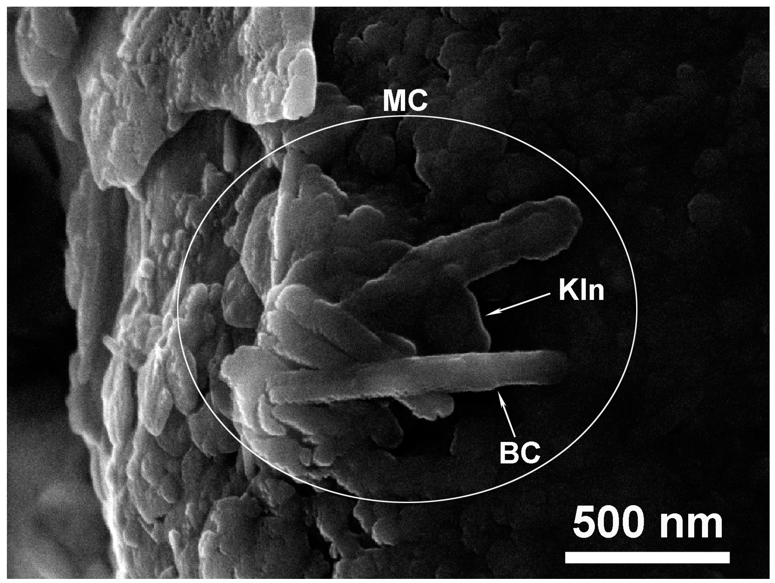 Applsci 14 01862 g011 Applsci 14 01862 g011