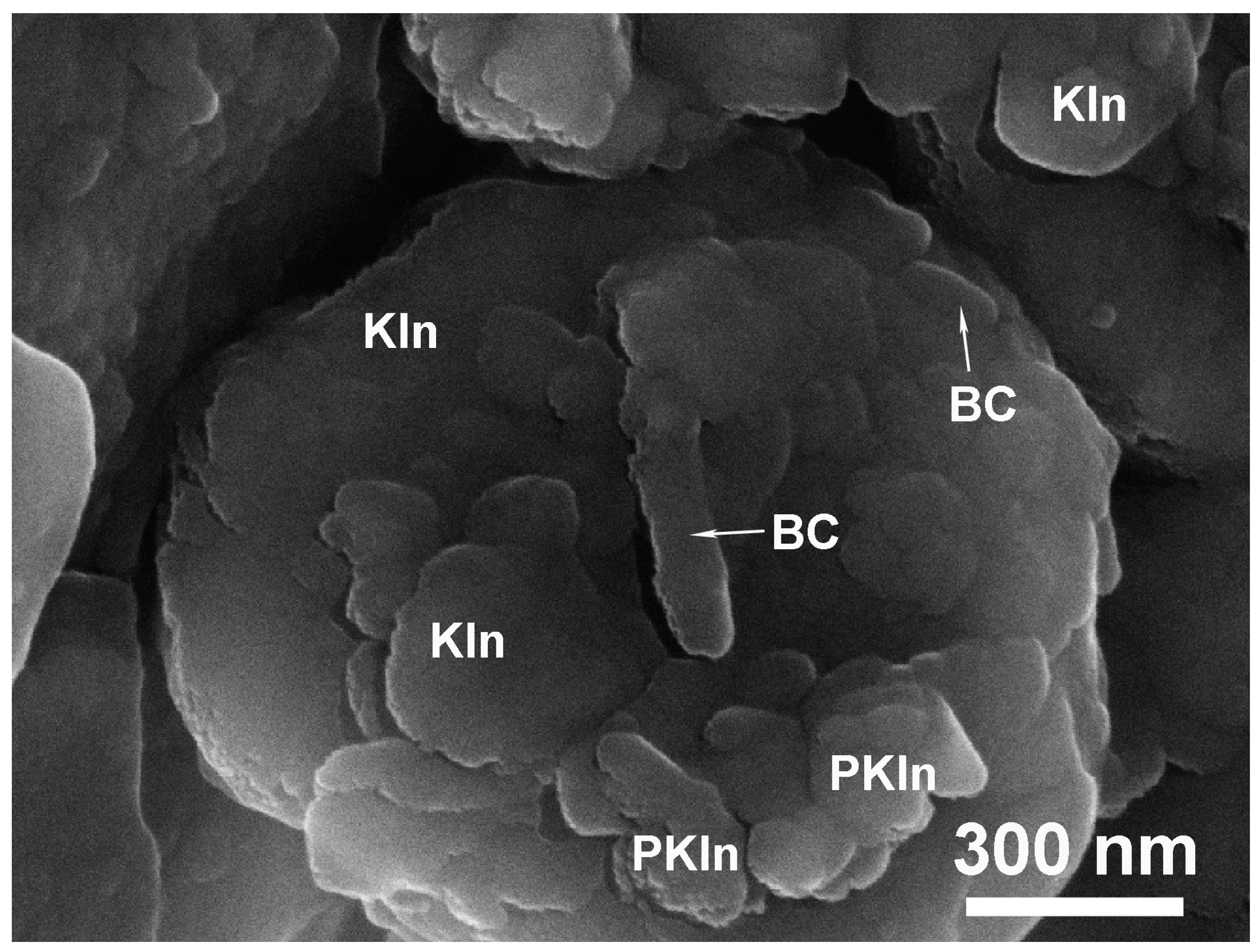 Applsci 14 01862 g012 Applsci 14 01862 g012