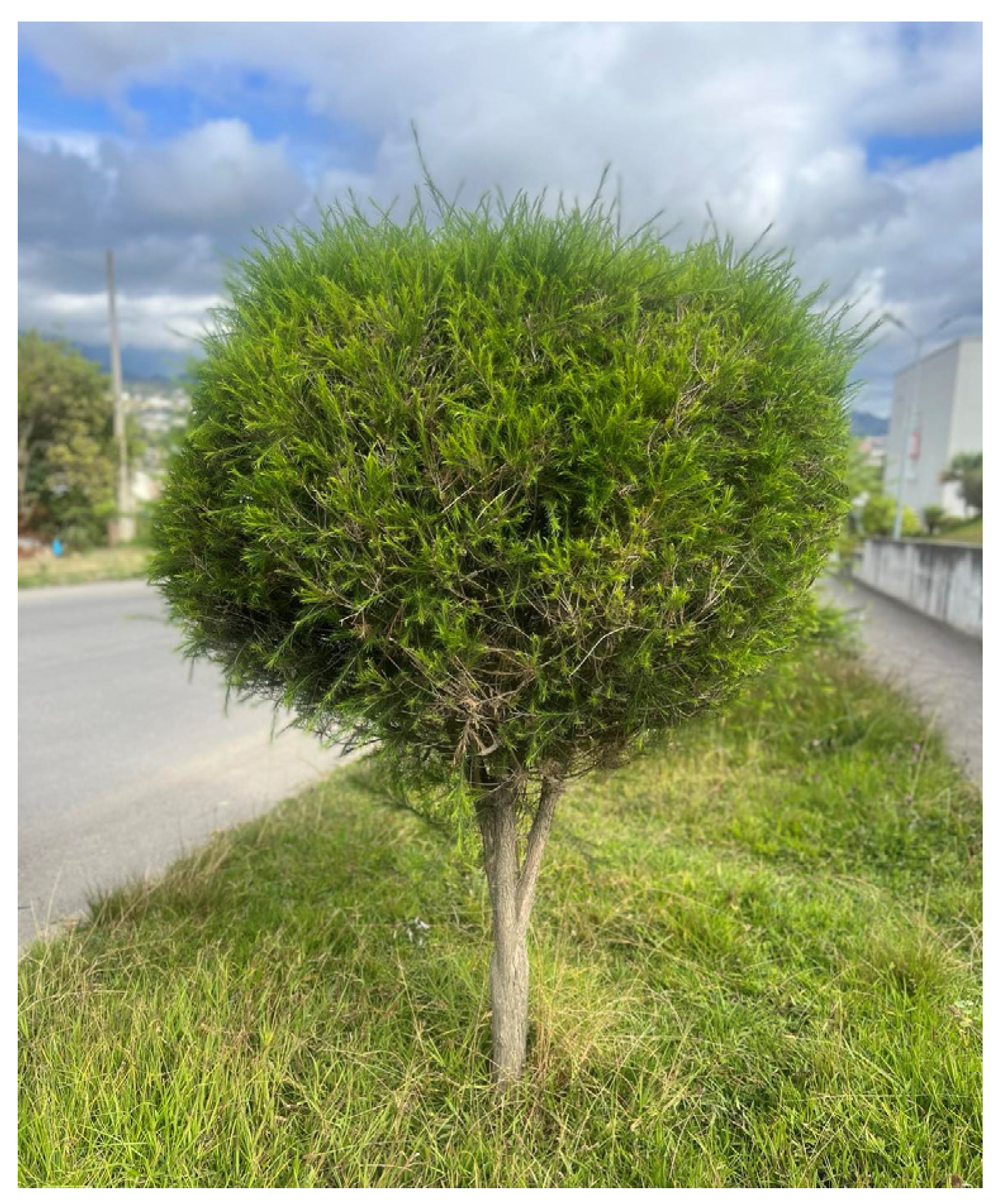 Applsci 14 01864 g001
