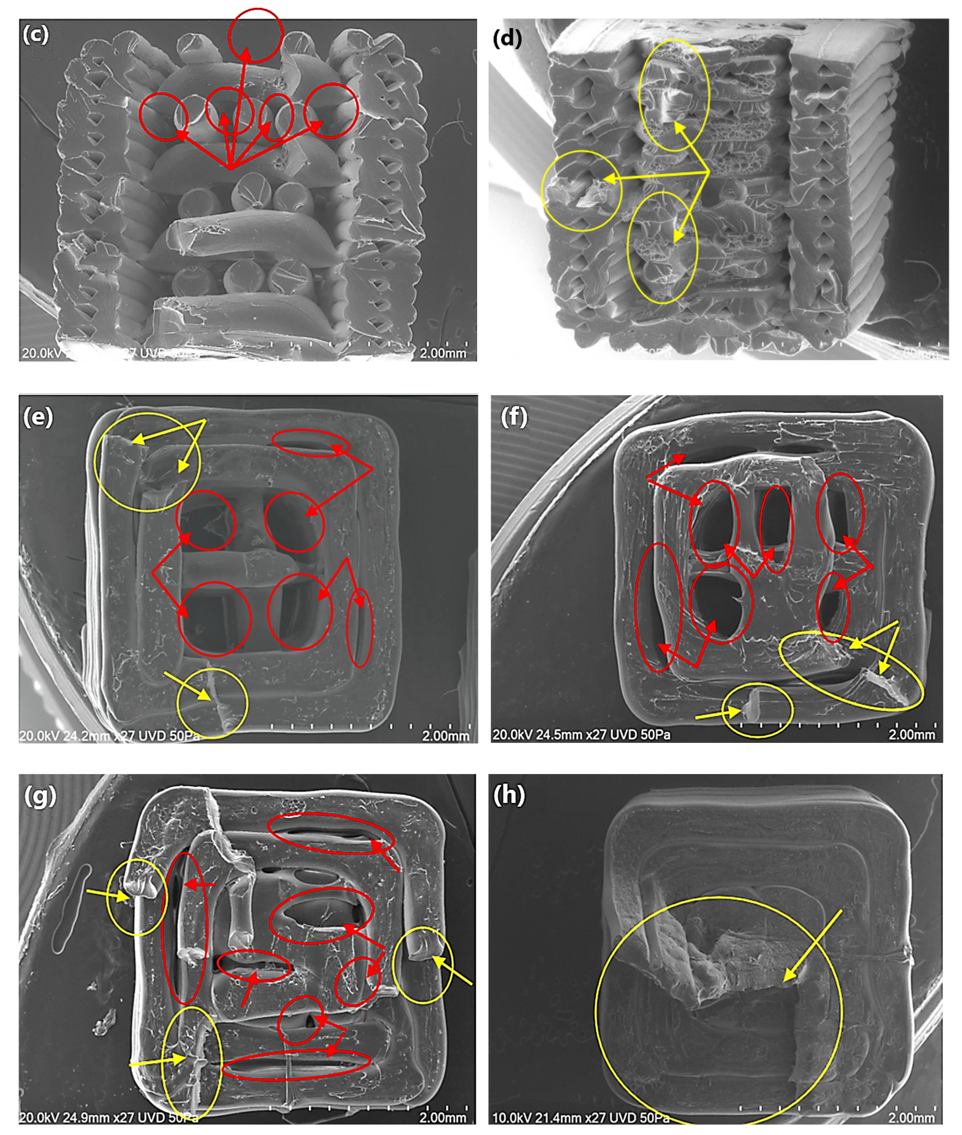Applsci 14 01870 g018b