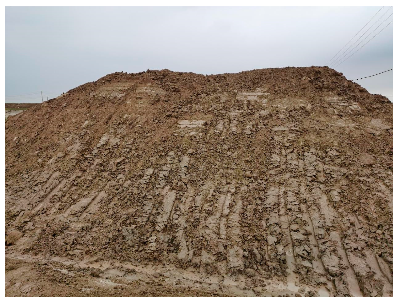 Applsci 14 01901 g001