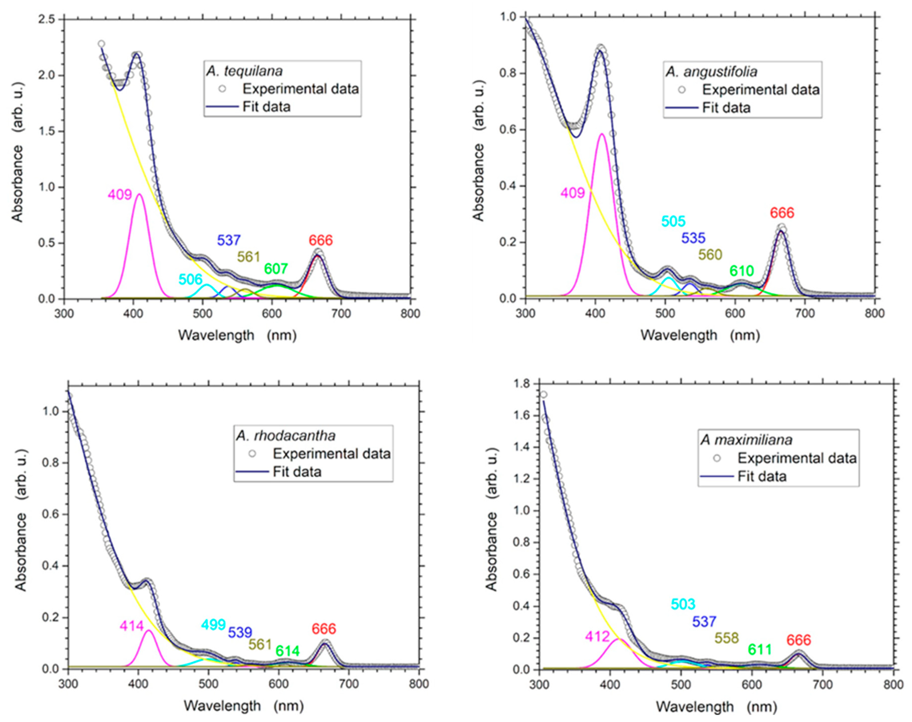 Applsci 14 01905 g001