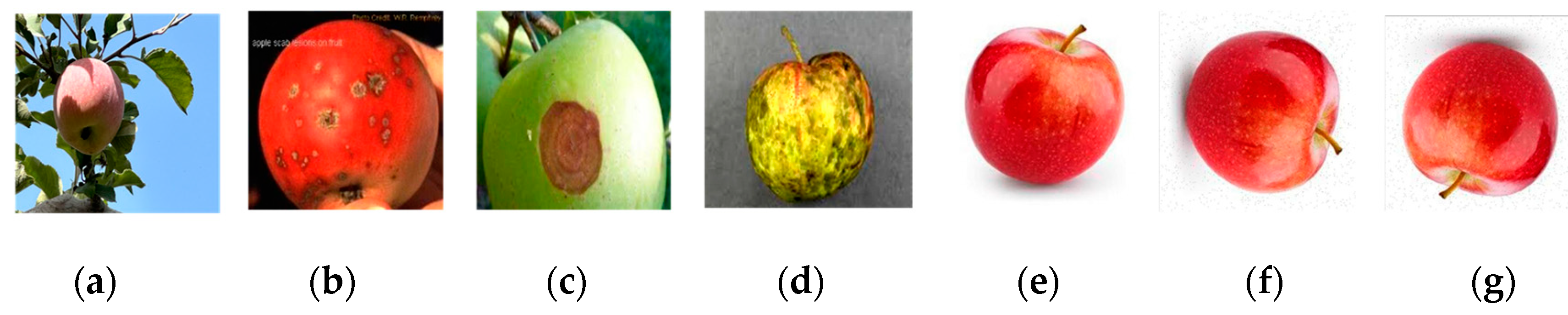 Applsci 14 01907 g002