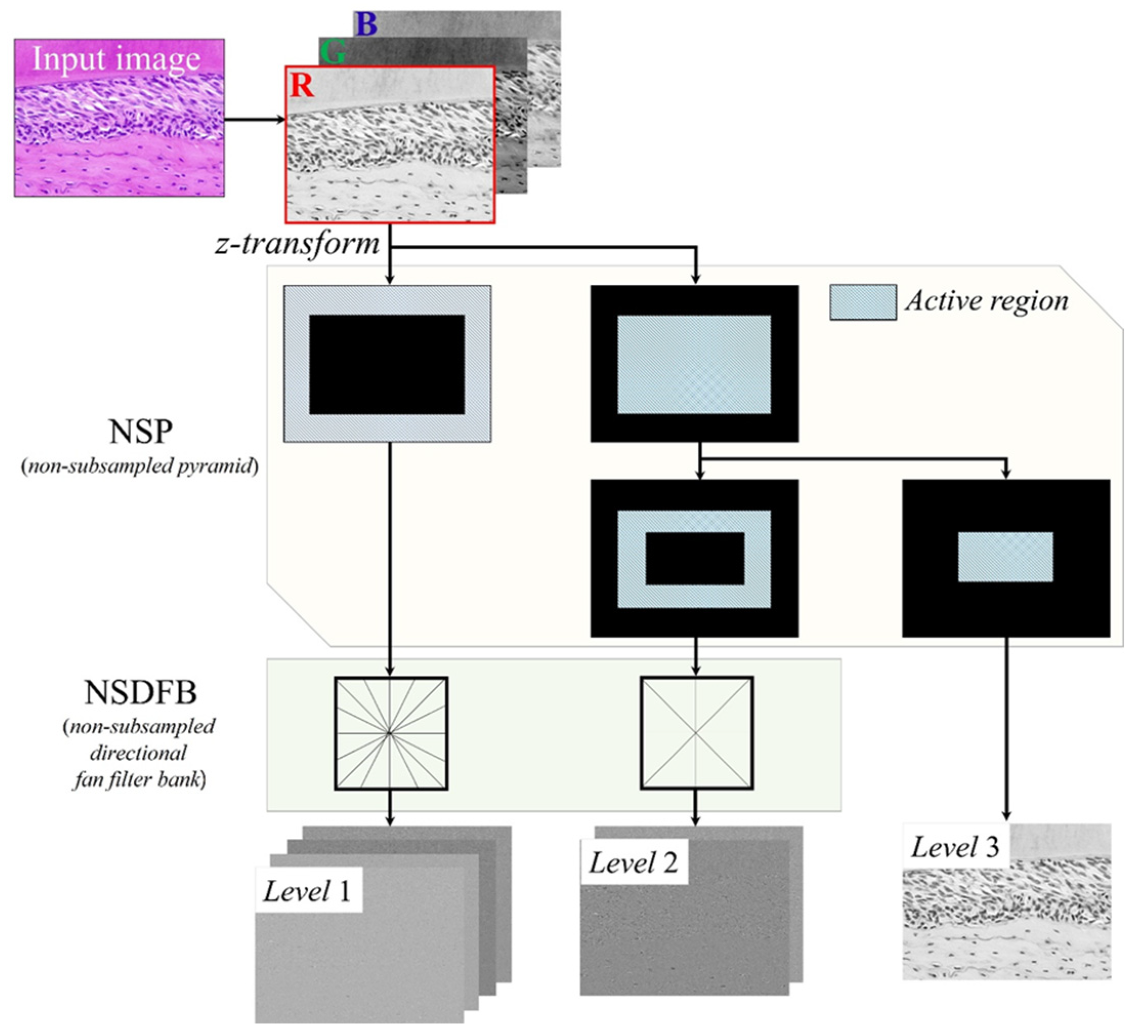 Applsci 14 01913 g001 Applsci 14 01913 g001