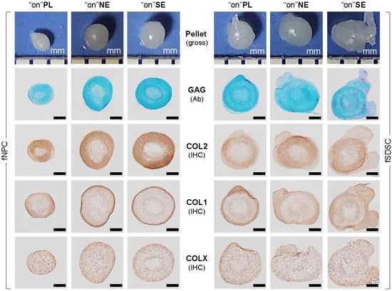 Applsci 14 01932 g004