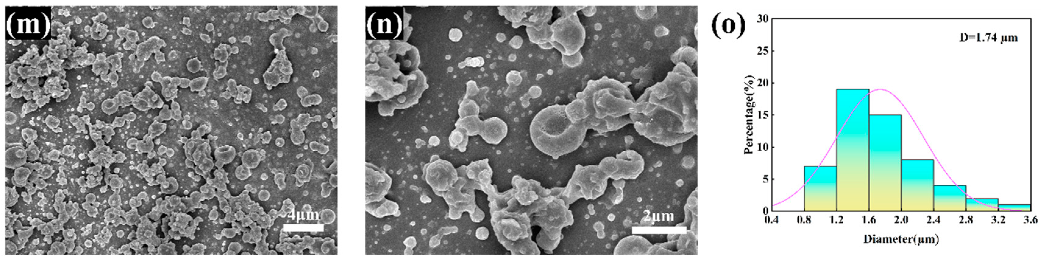 Applsci 14 01939 g001b