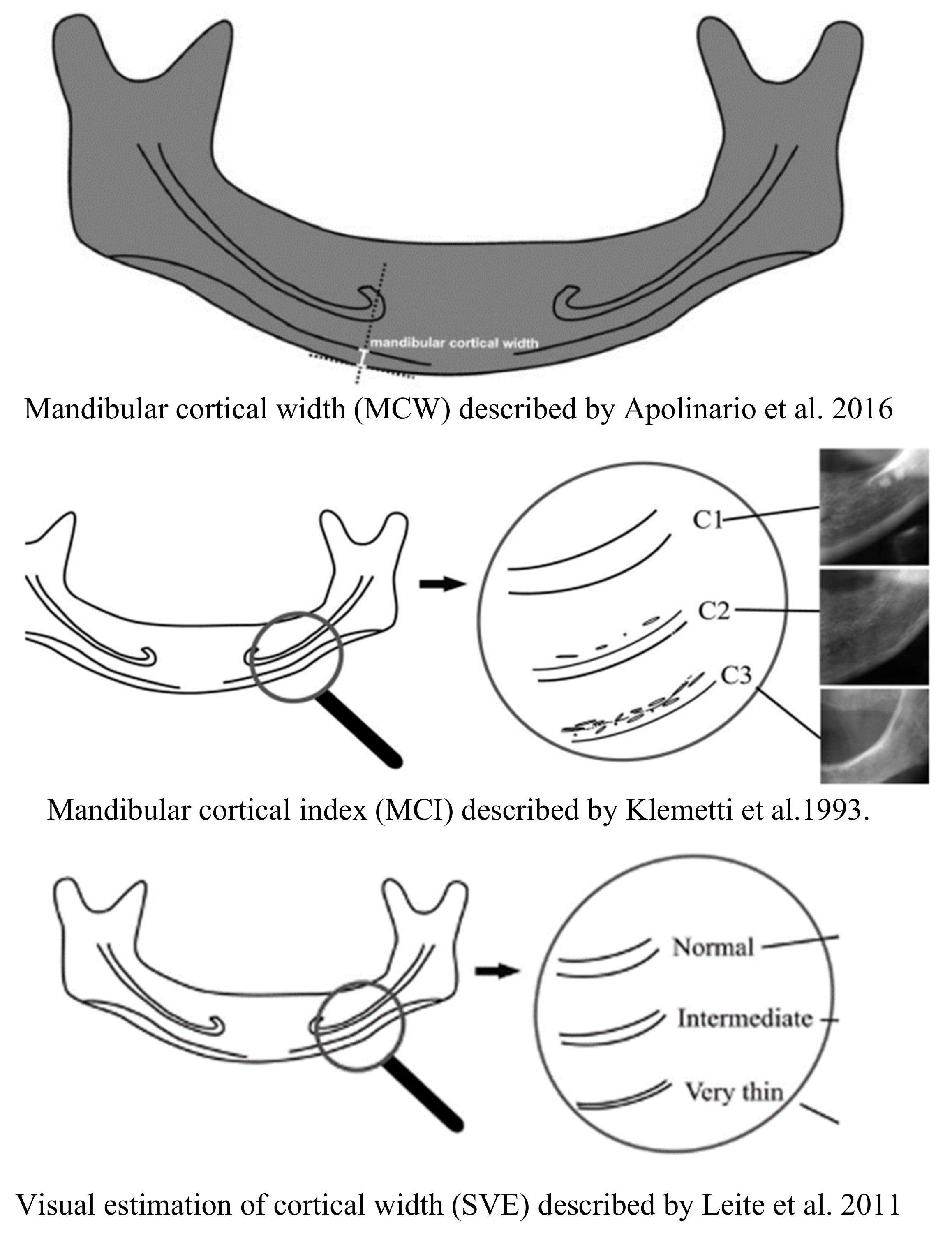 Applsci 14 01954 g002