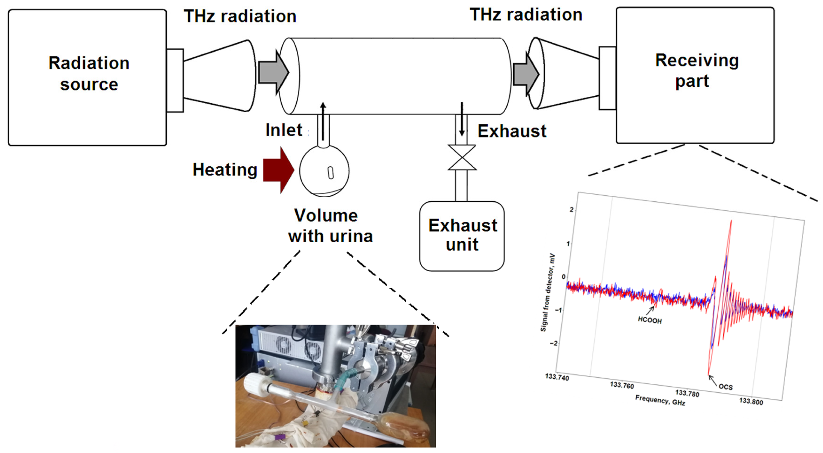 Applsci 14 01955 g001