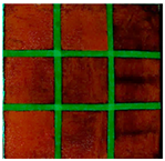 Applsci 14 01970 i021