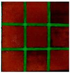 Applsci 14 01970 i022