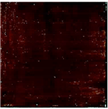 Applsci 14 01970 i029