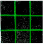 Applsci 14 01970 i031