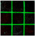 Applsci 14 01970 i032