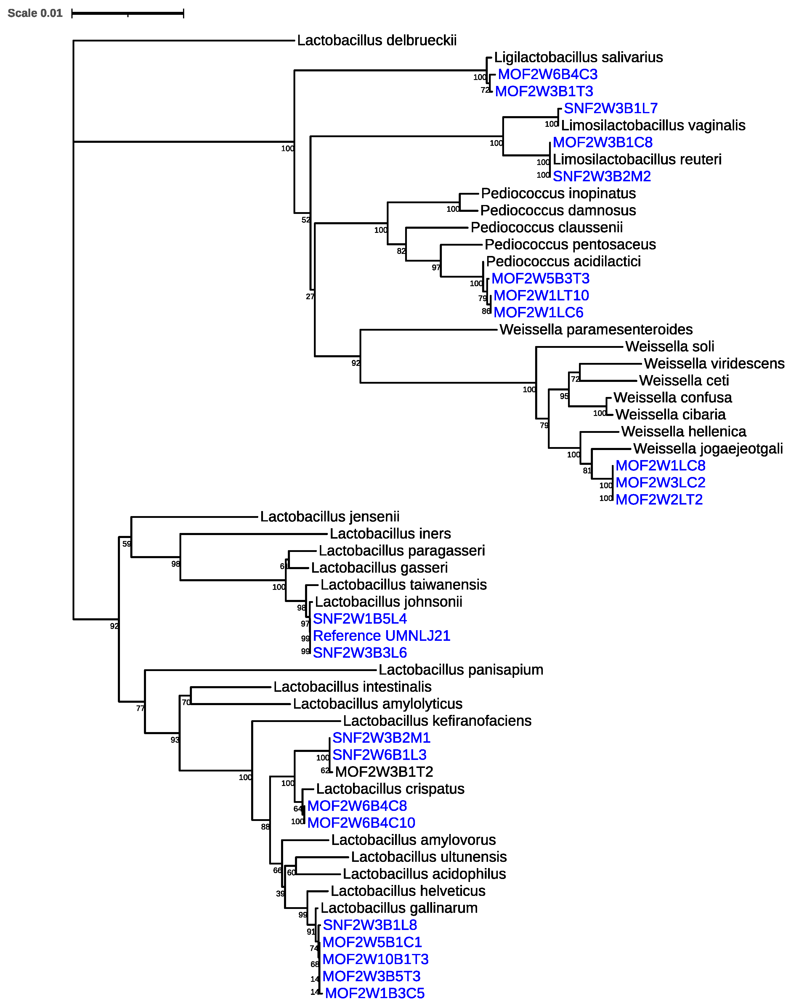 Applsci 14 02010 g001