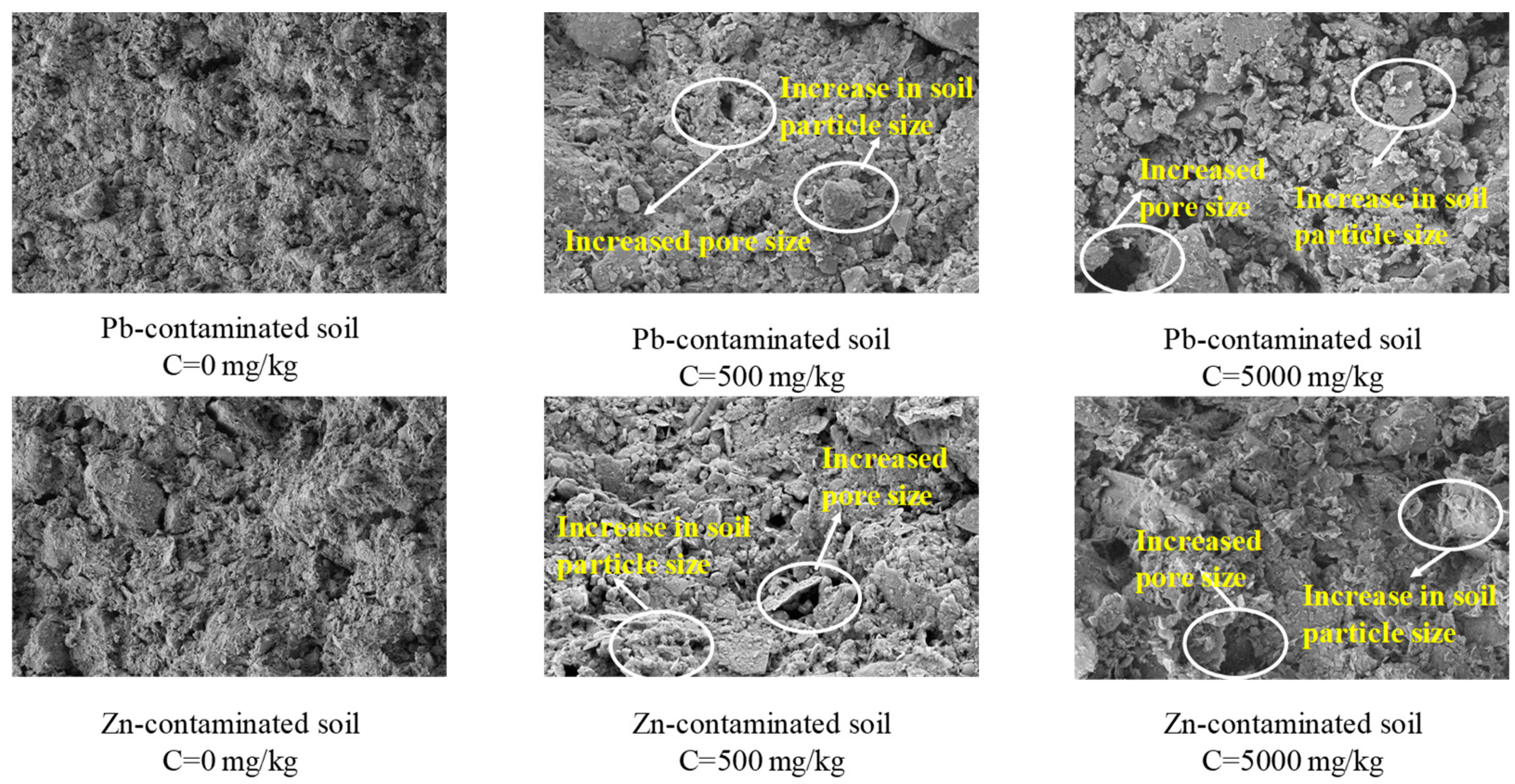 Applsci 14 02022 g013