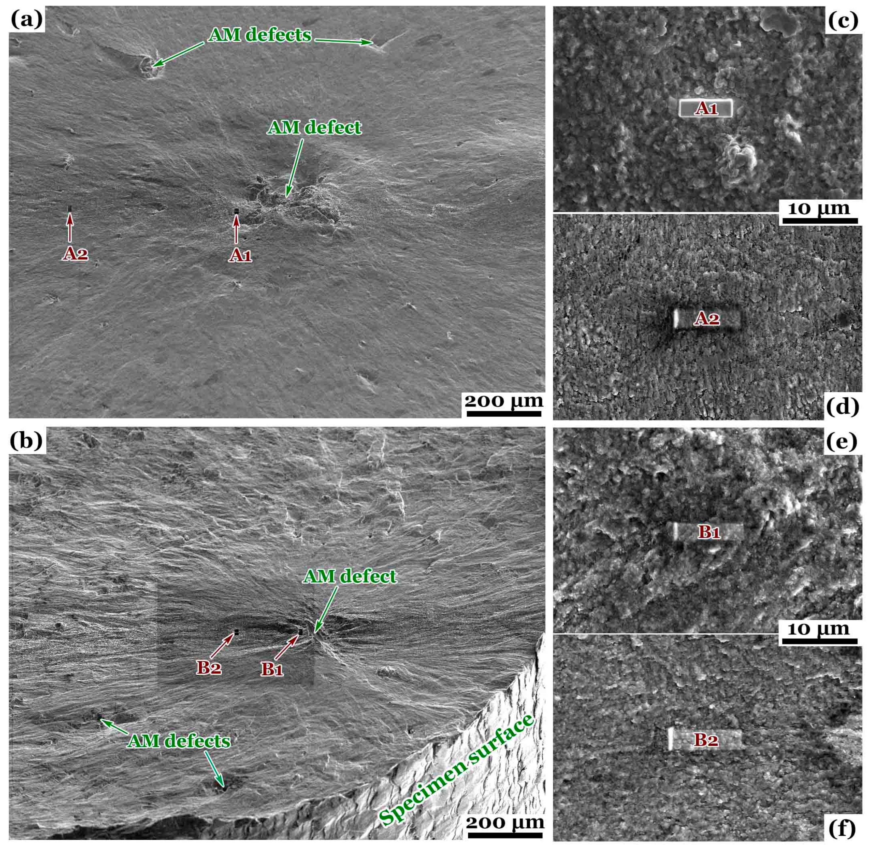 Applsci 14 02025 g002