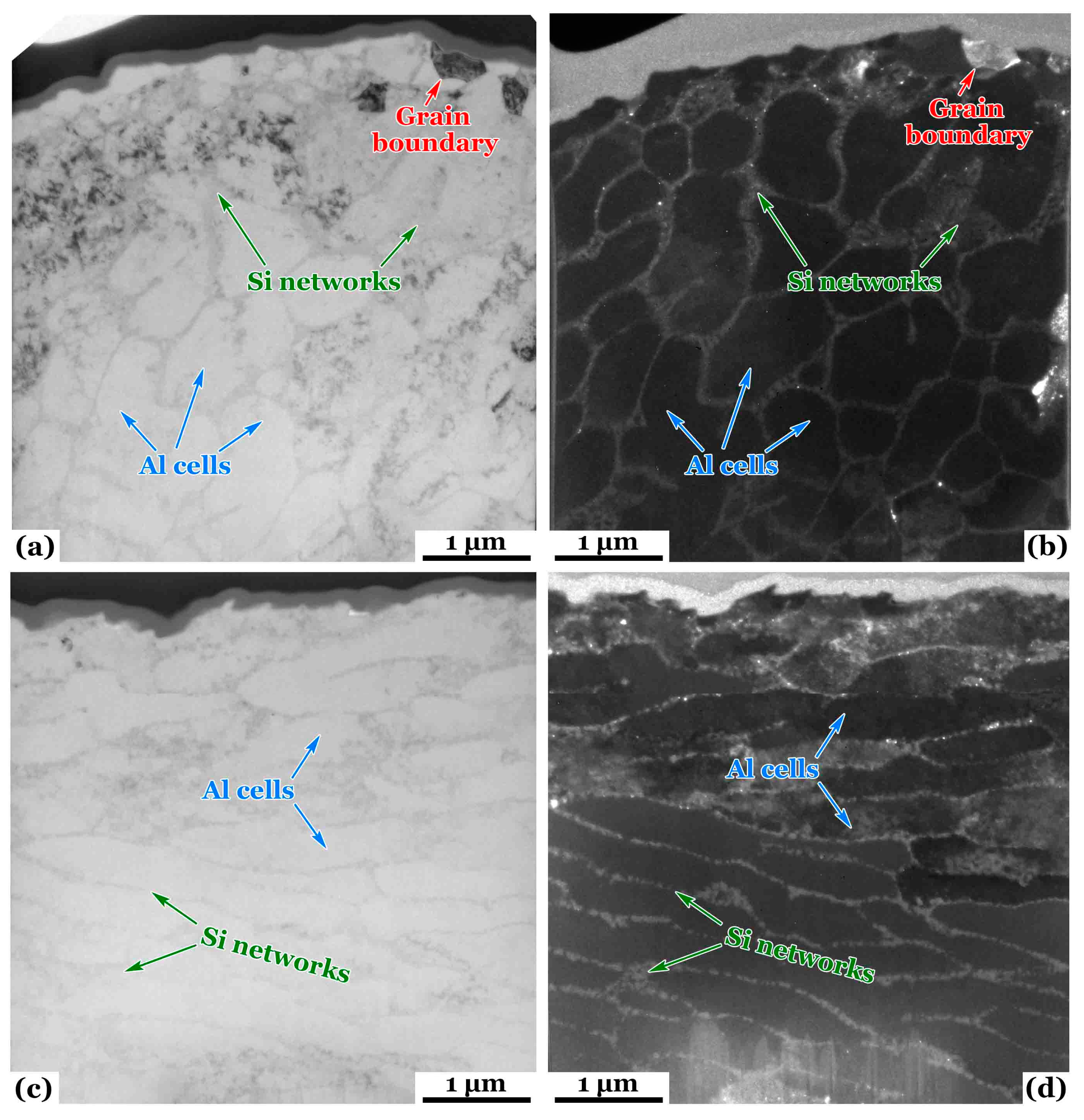 Applsci 14 02025 g004