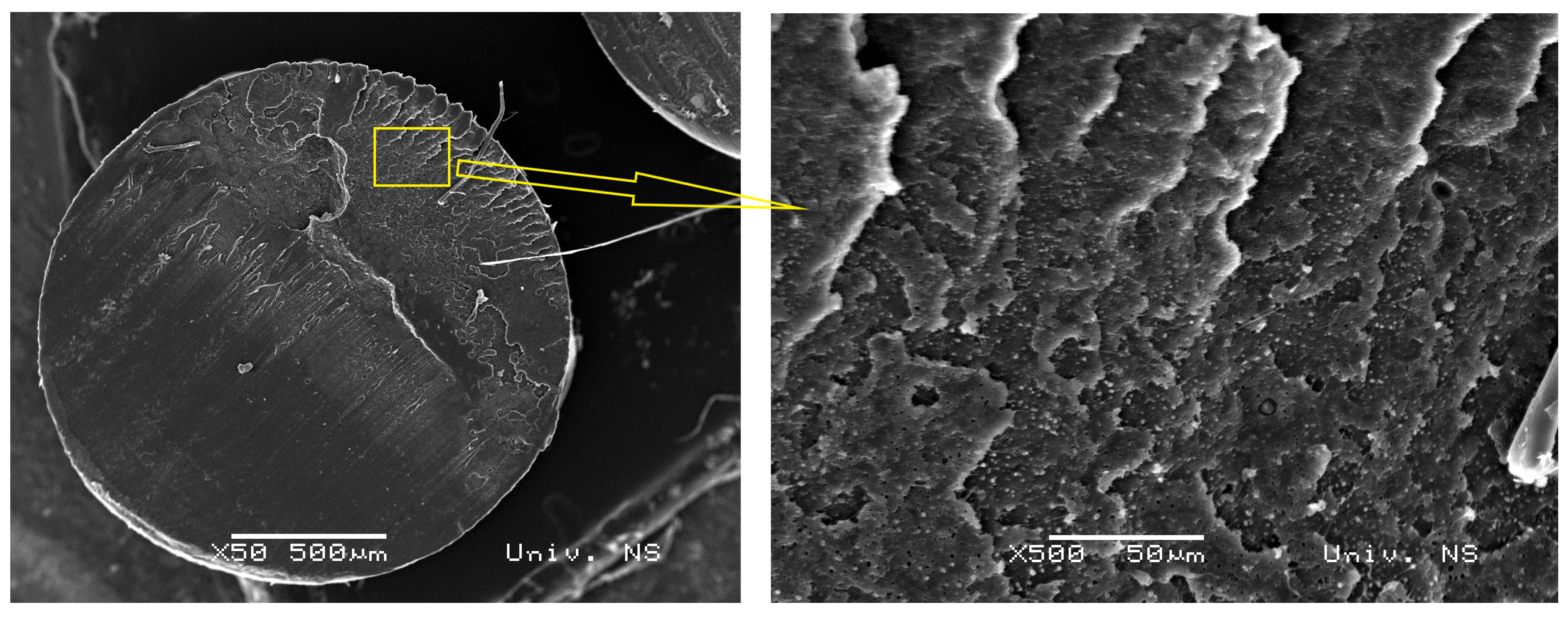 Applsci 14 02035 g004