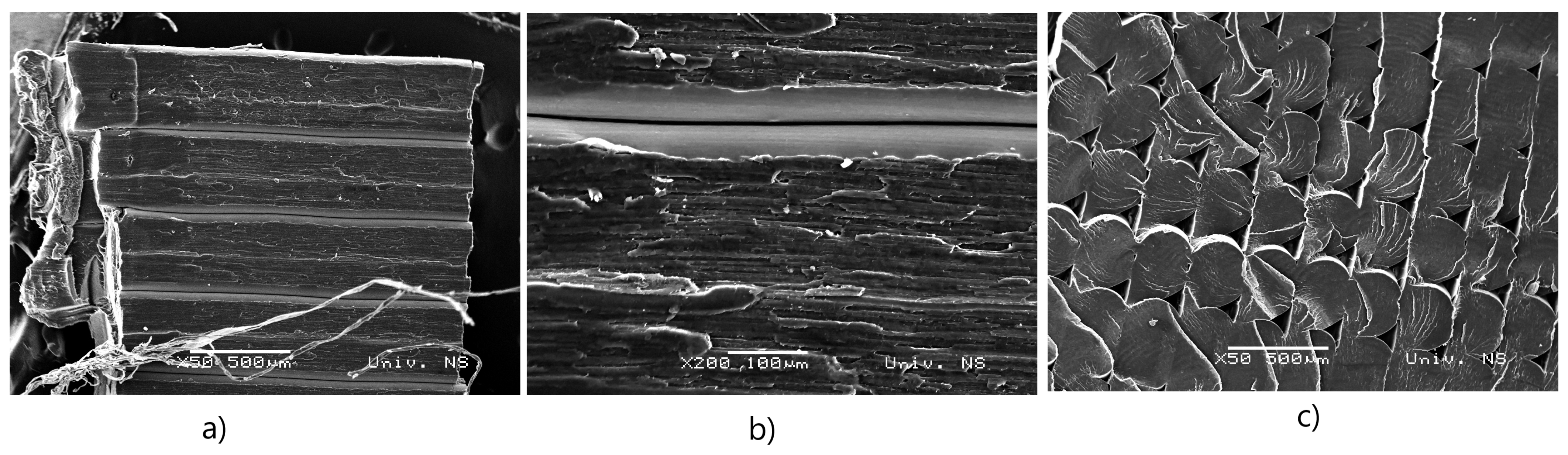 Applsci 14 02035 g006
