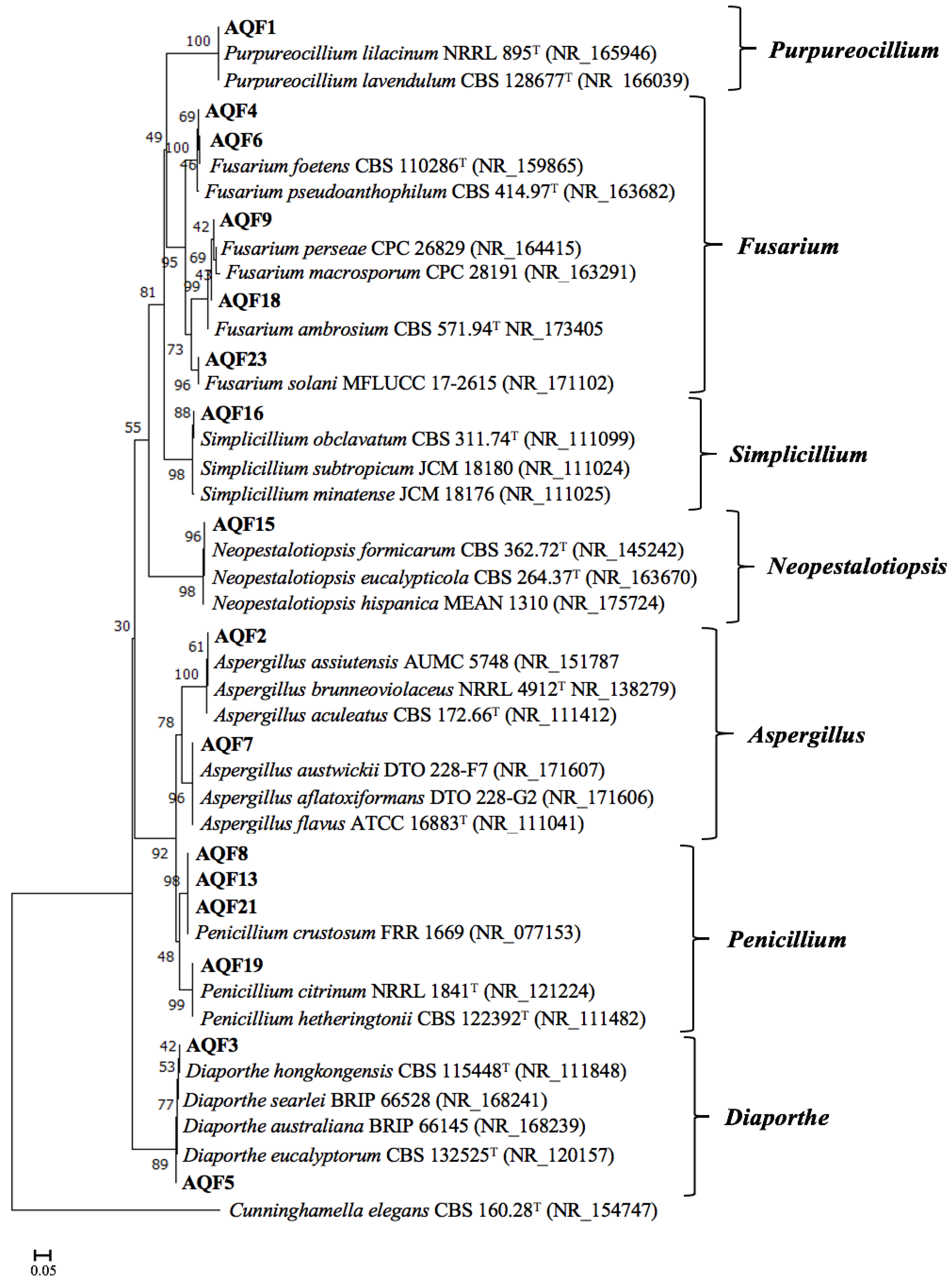 Applsci 14 02048 g001