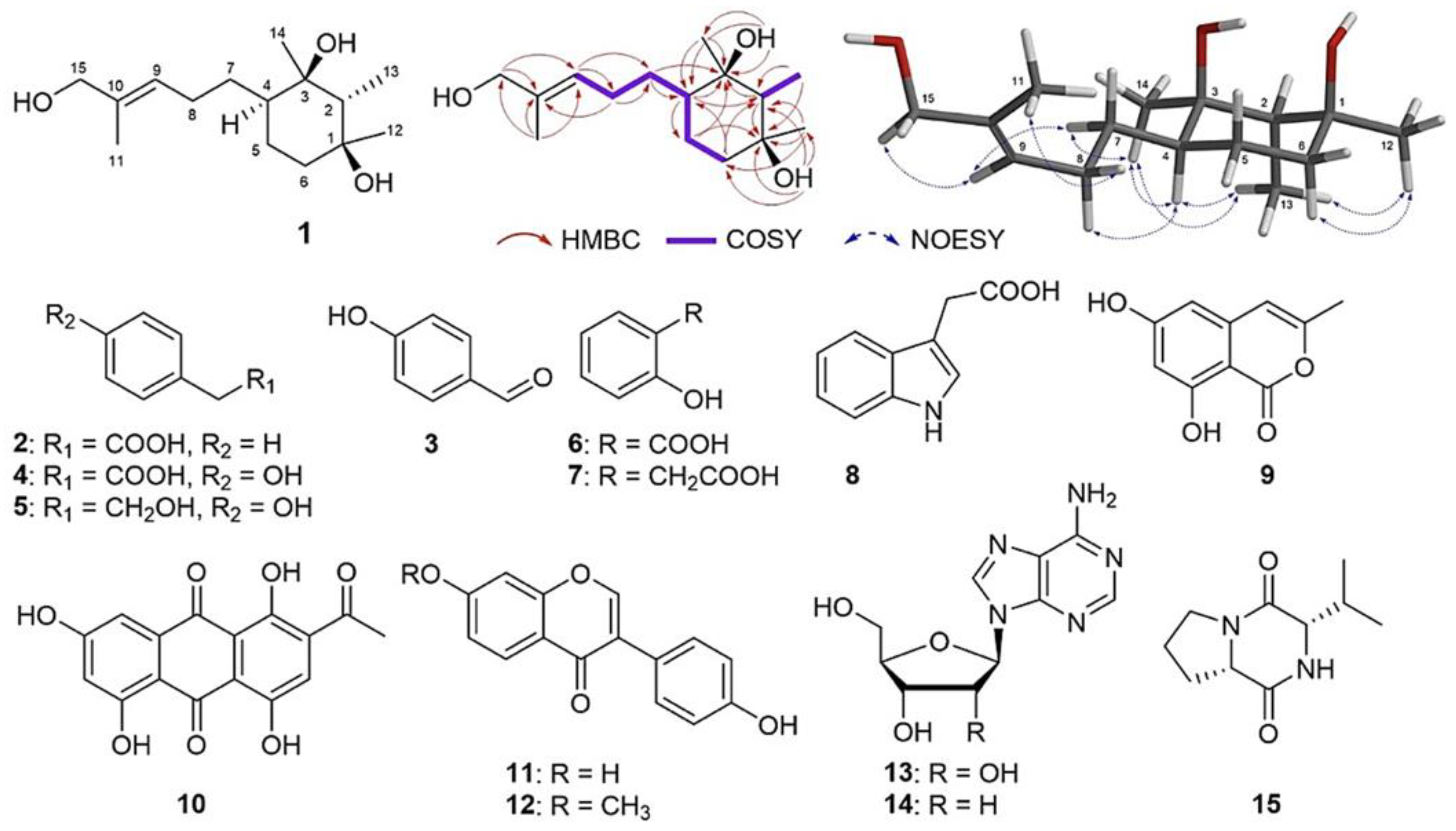 Applsci 14 02048 g002