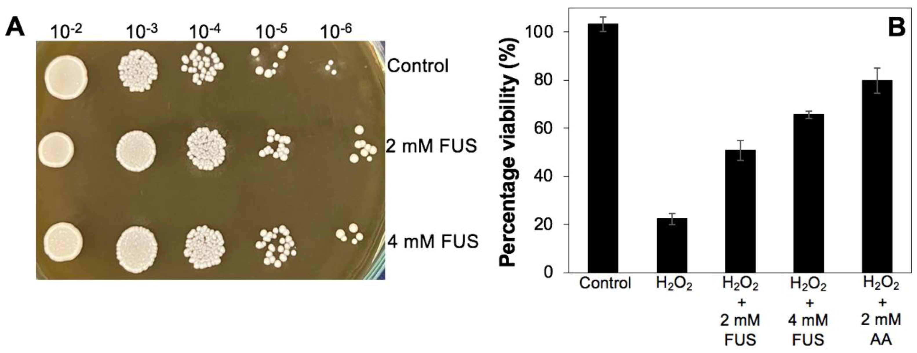 Applsci 14 02048 g003