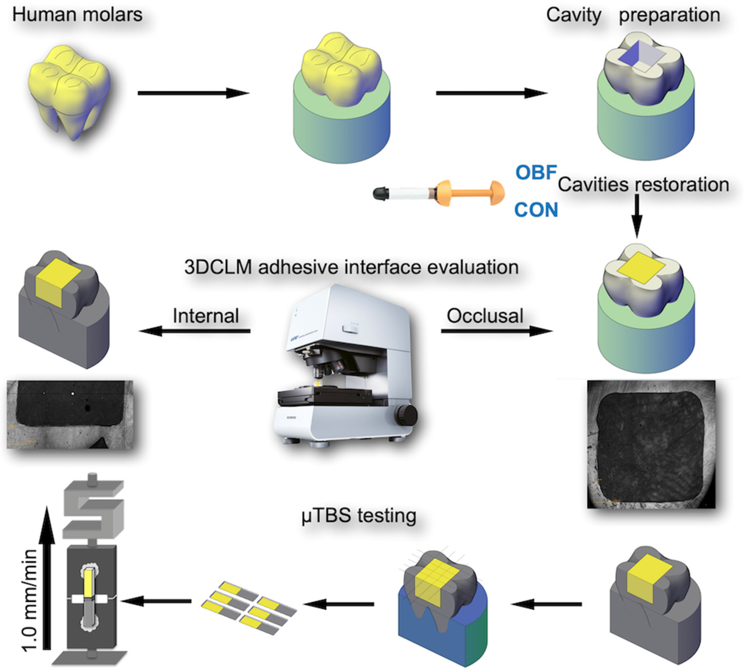 Applsci 14 02057 g001