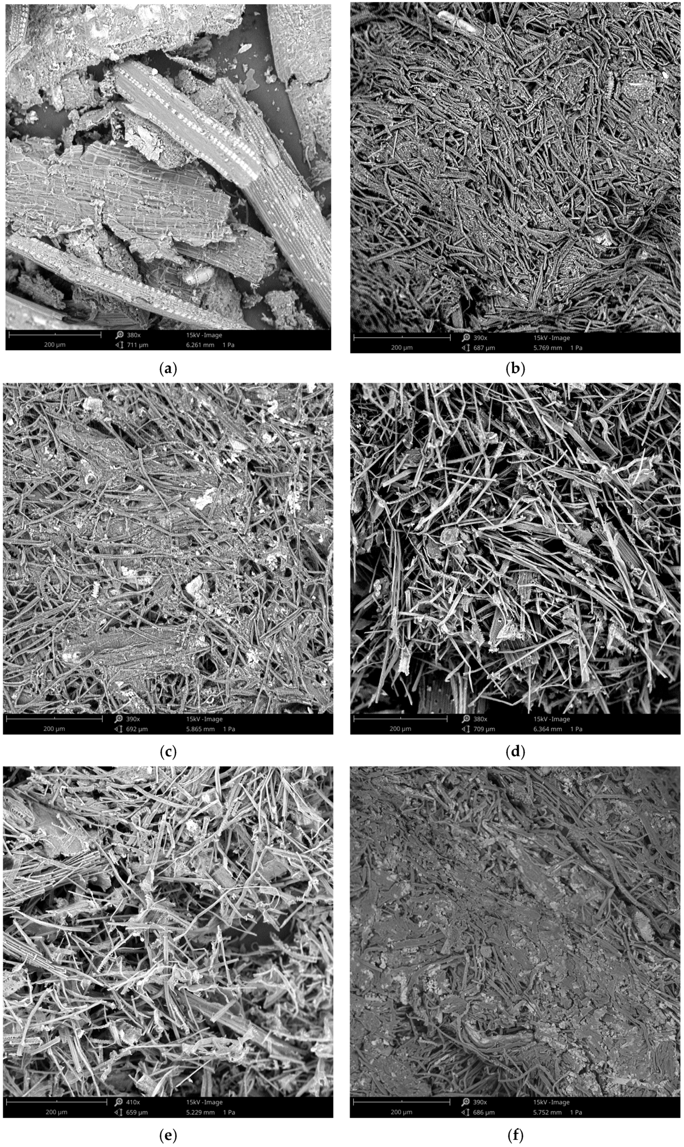Applsci 14 02059 g011a Applsci 14 02059 g011a