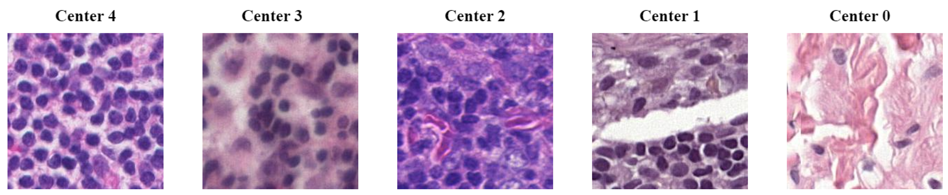 Applsci 14 02063 g001 Applsci 14 02063 g001