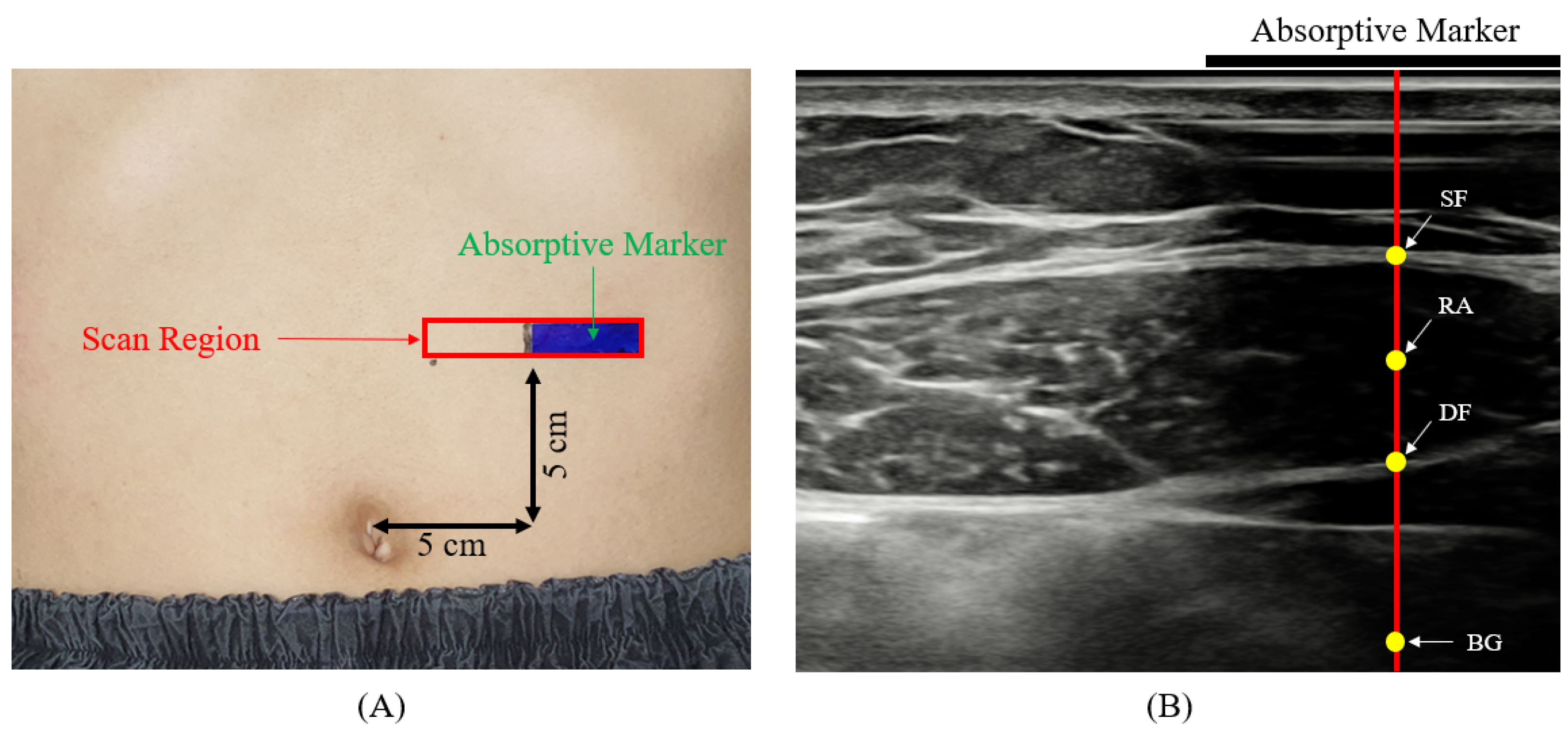 Applsci 14 02126 g001