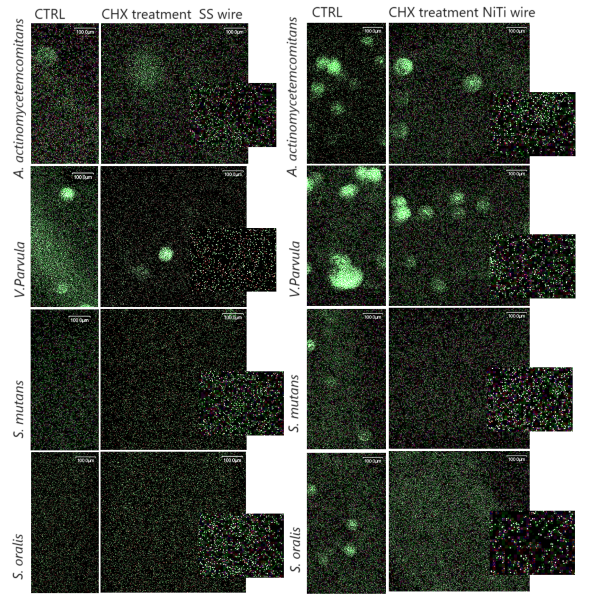 Applsci 14 02145 g004