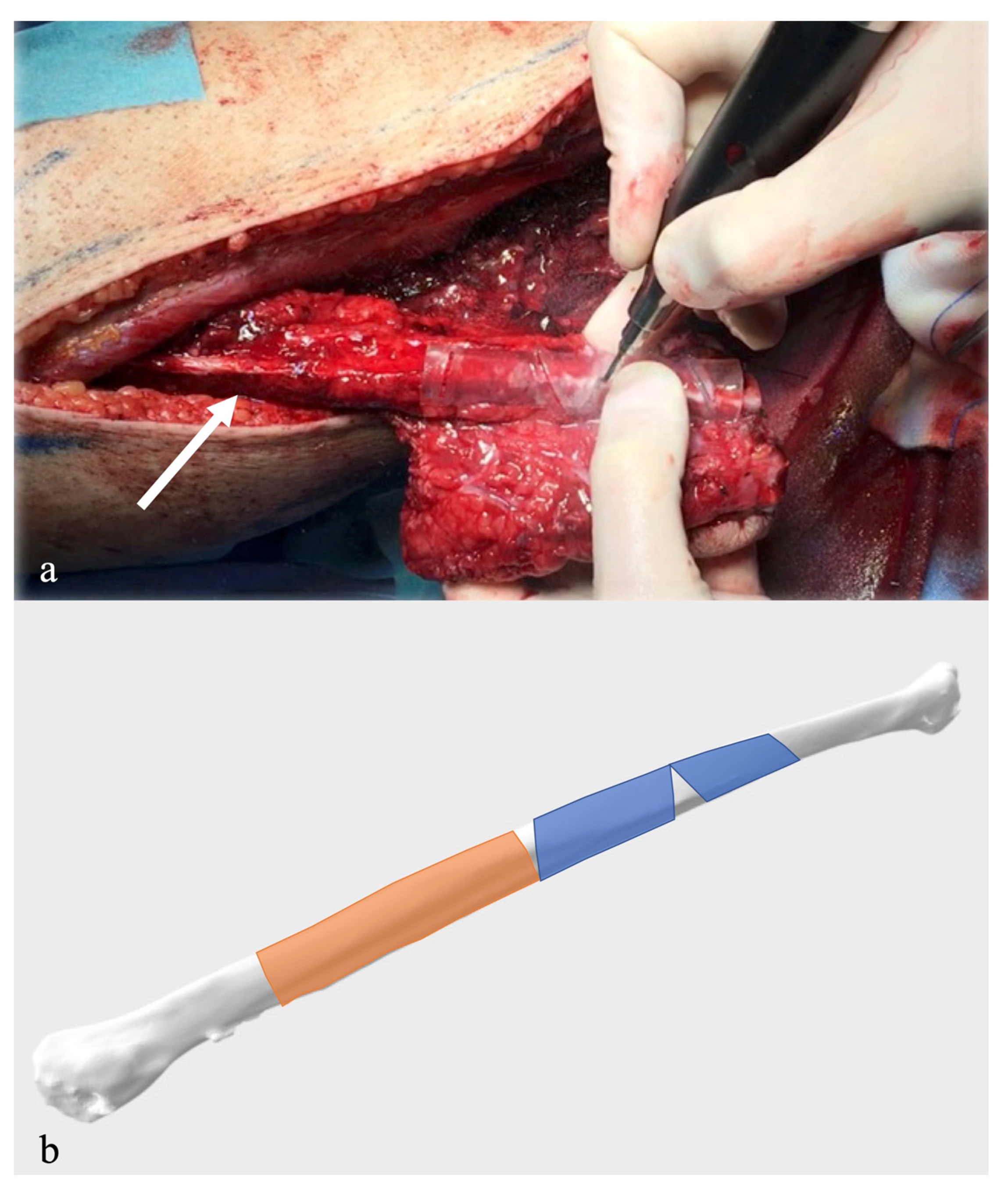 Applsci 14 02203 g001