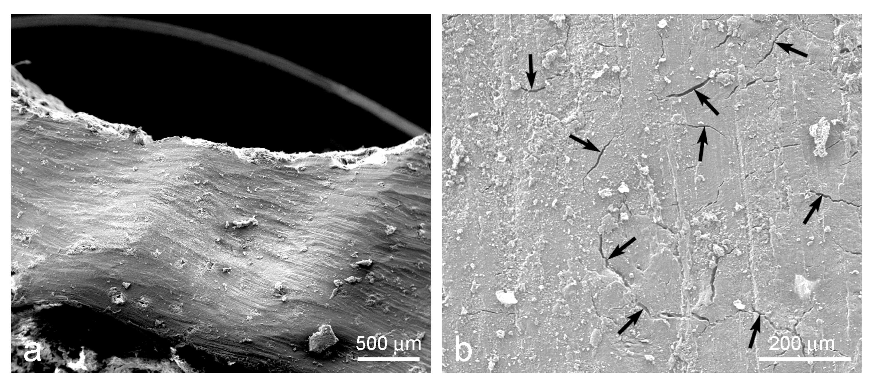 Applsci 14 02203 g003