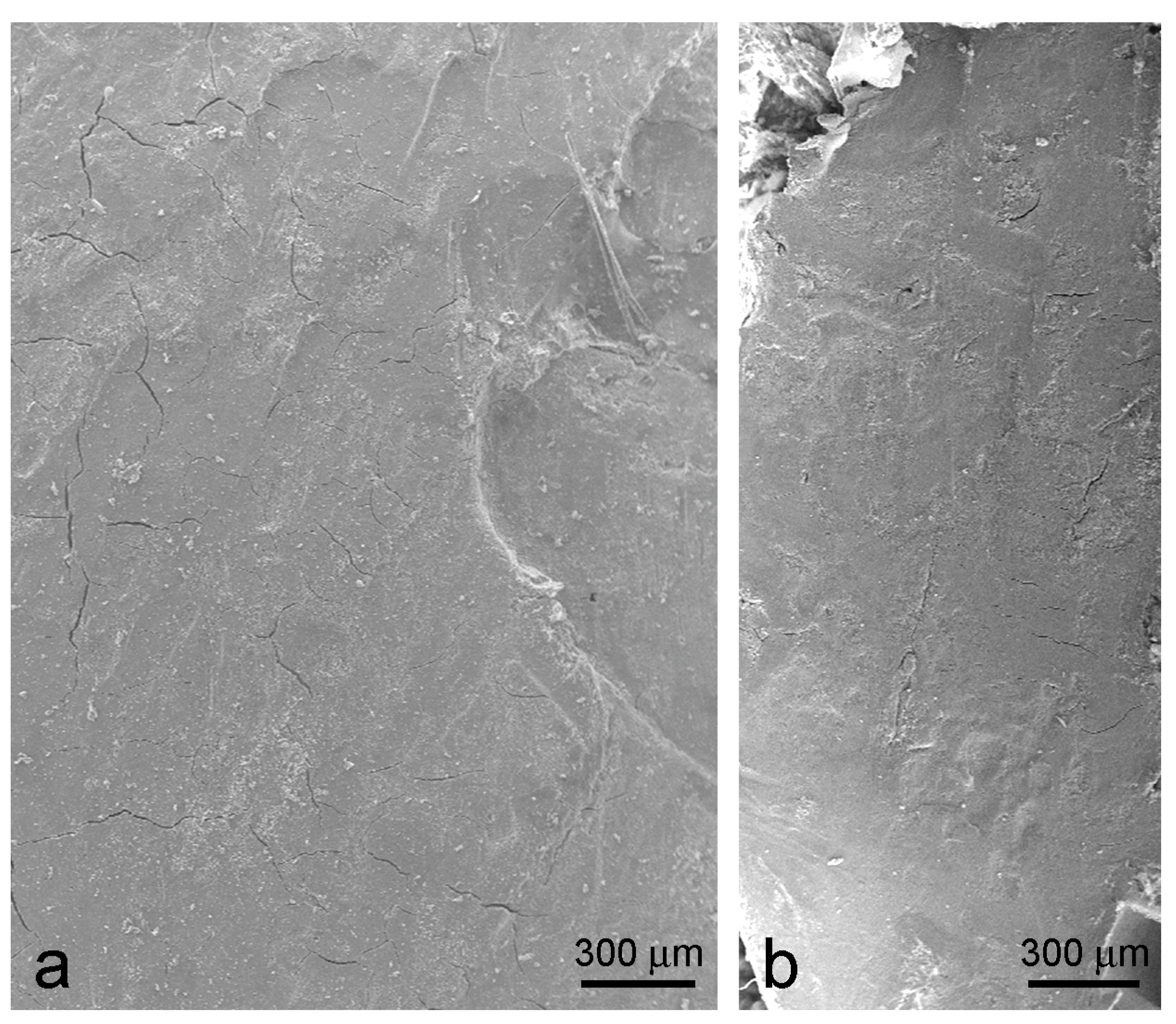 Applsci 14 02203 g004