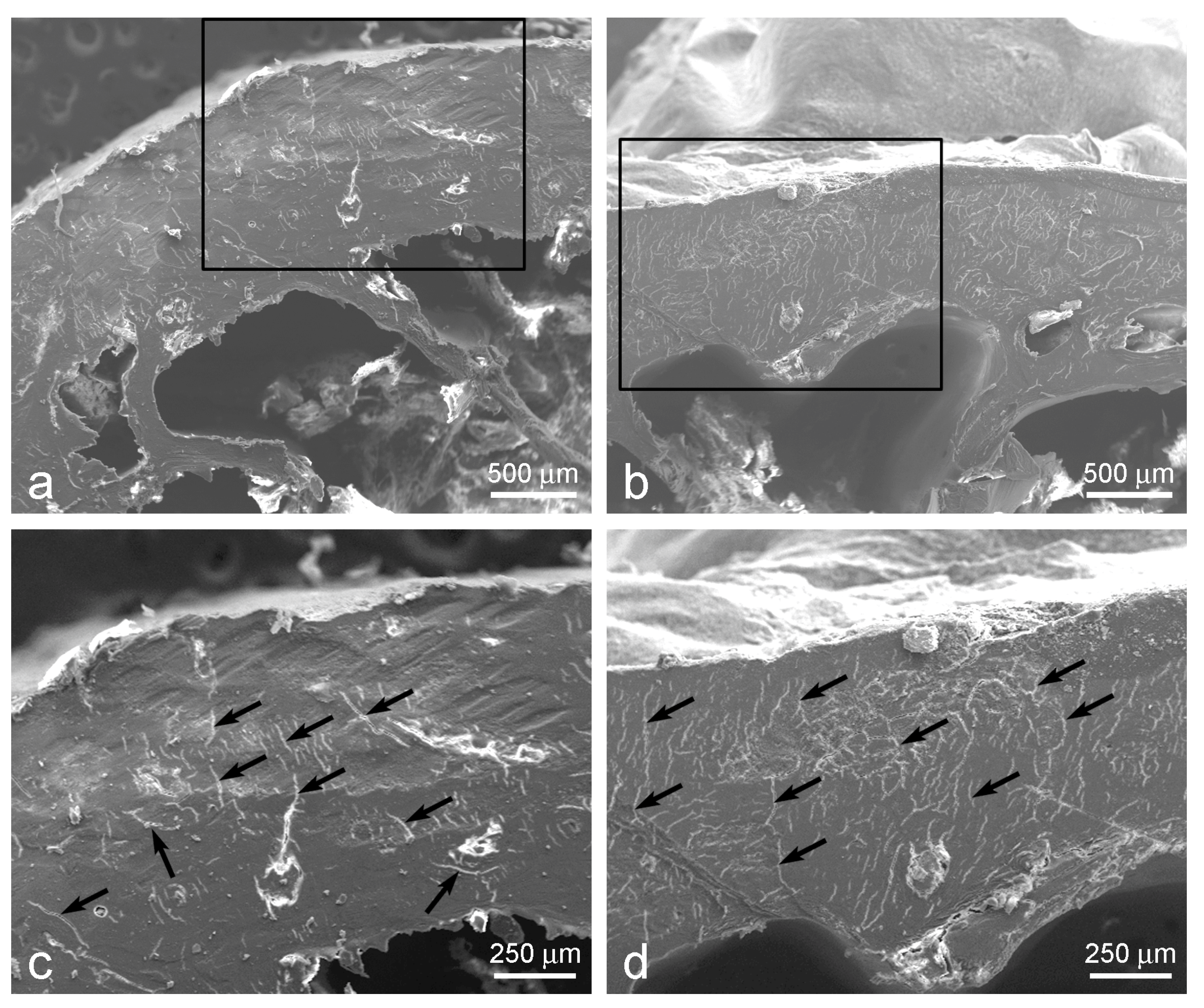 Applsci 14 02203 g008