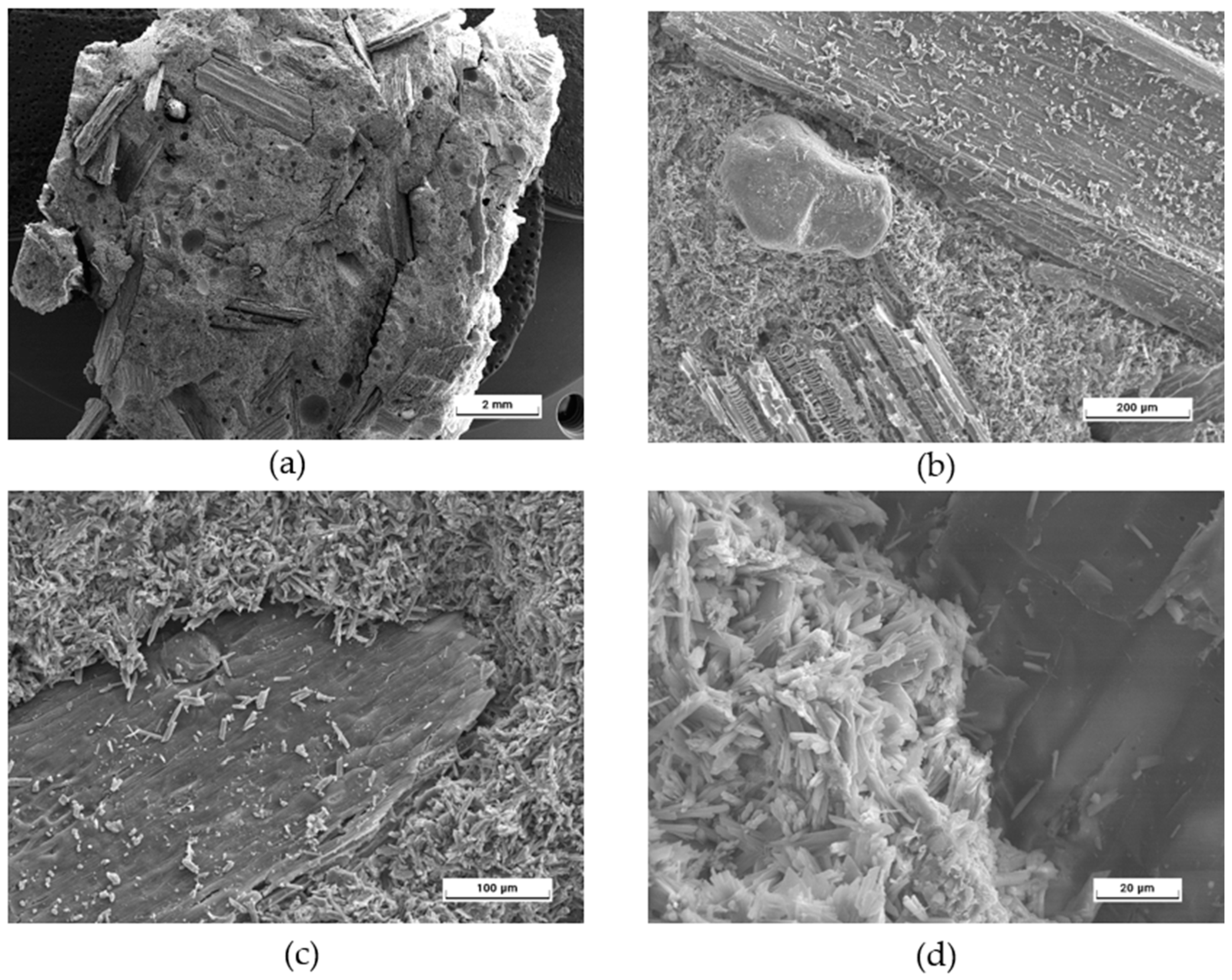 Applsci 14 02229 g005