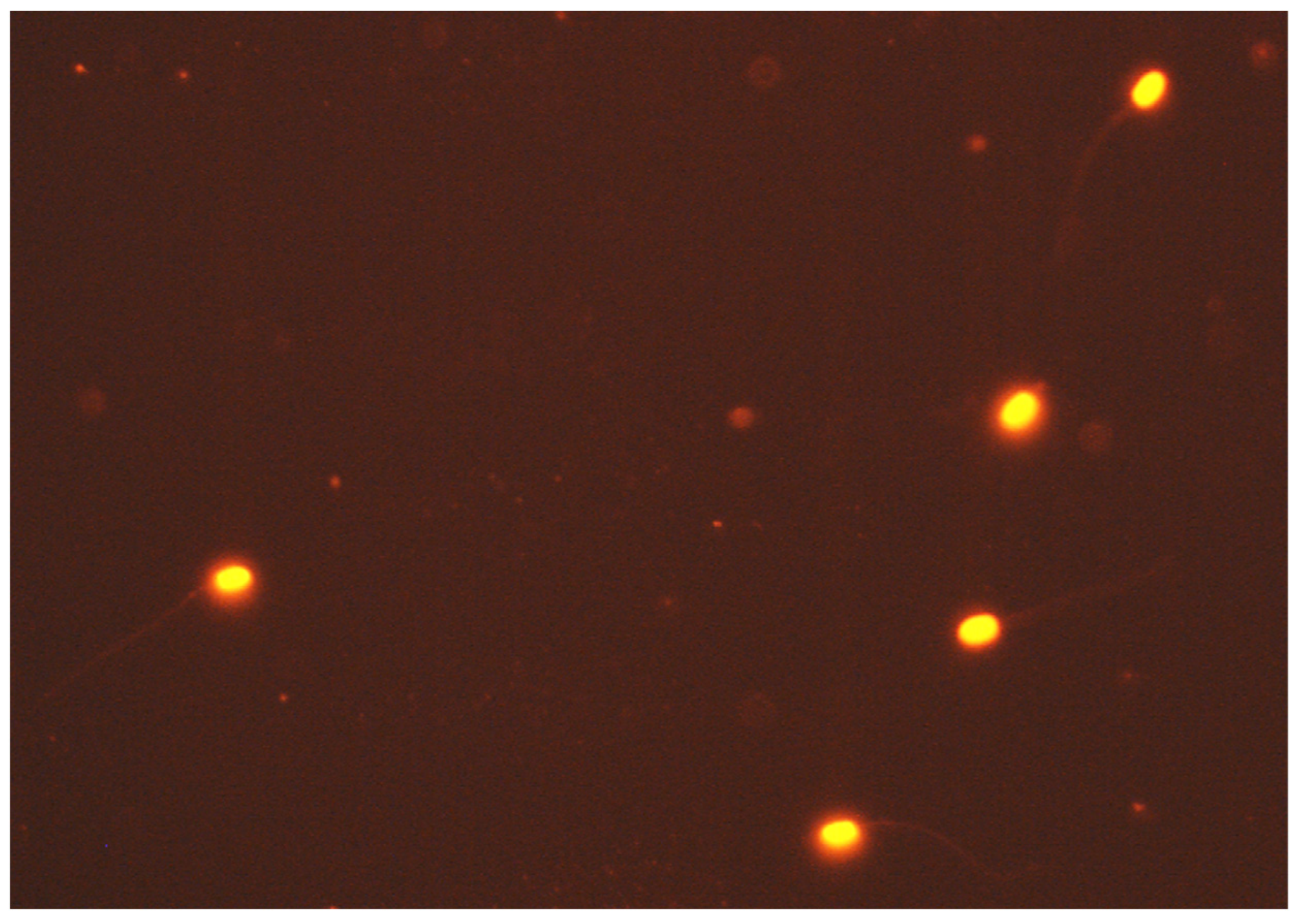 Applsci 14 02230 g004