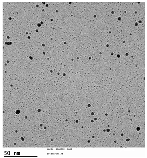 Applsci 14 02248 i002