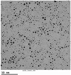 Applsci 14 02248 i005